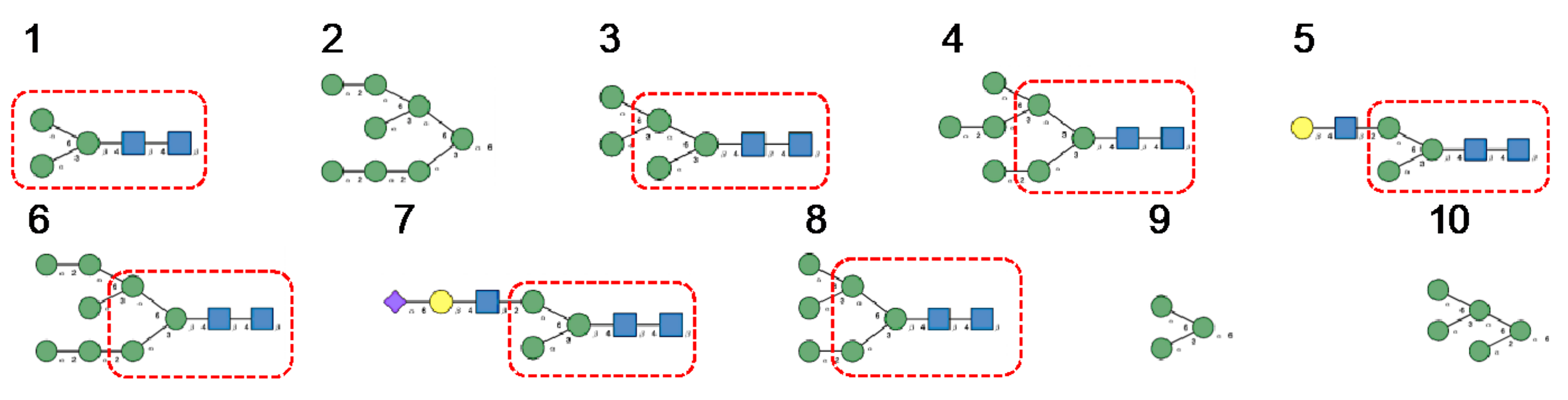 Cells 10 01619 g009 Cells 10 01619 g009
