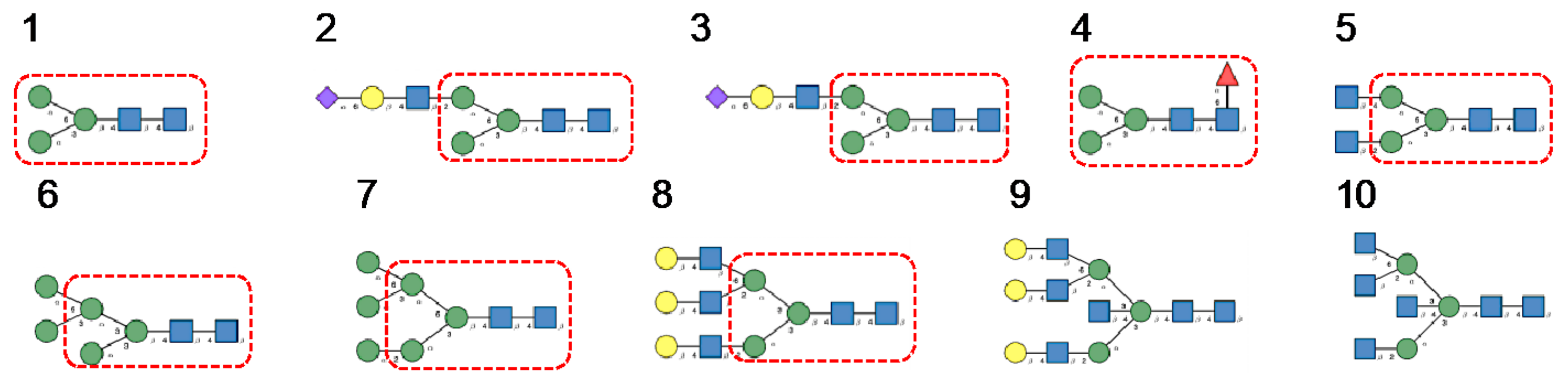 Cells 10 01619 g010 Cells 10 01619 g010