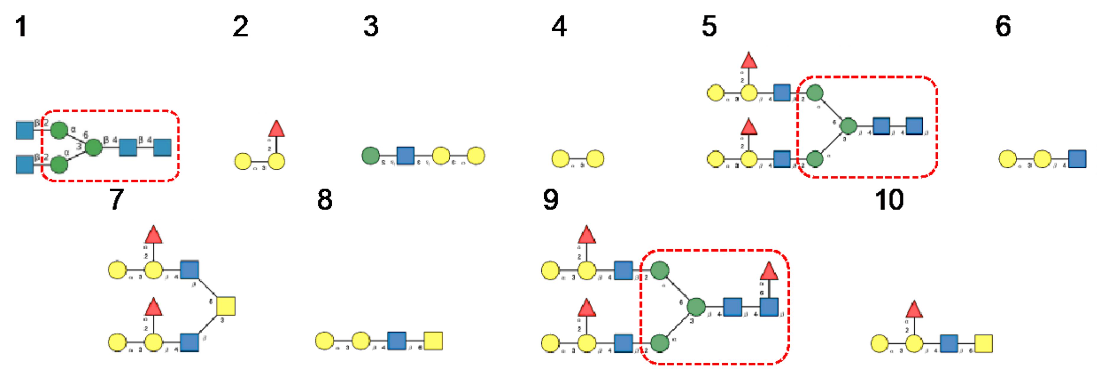 Cells 10 01619 g017 Cells 10 01619 g017