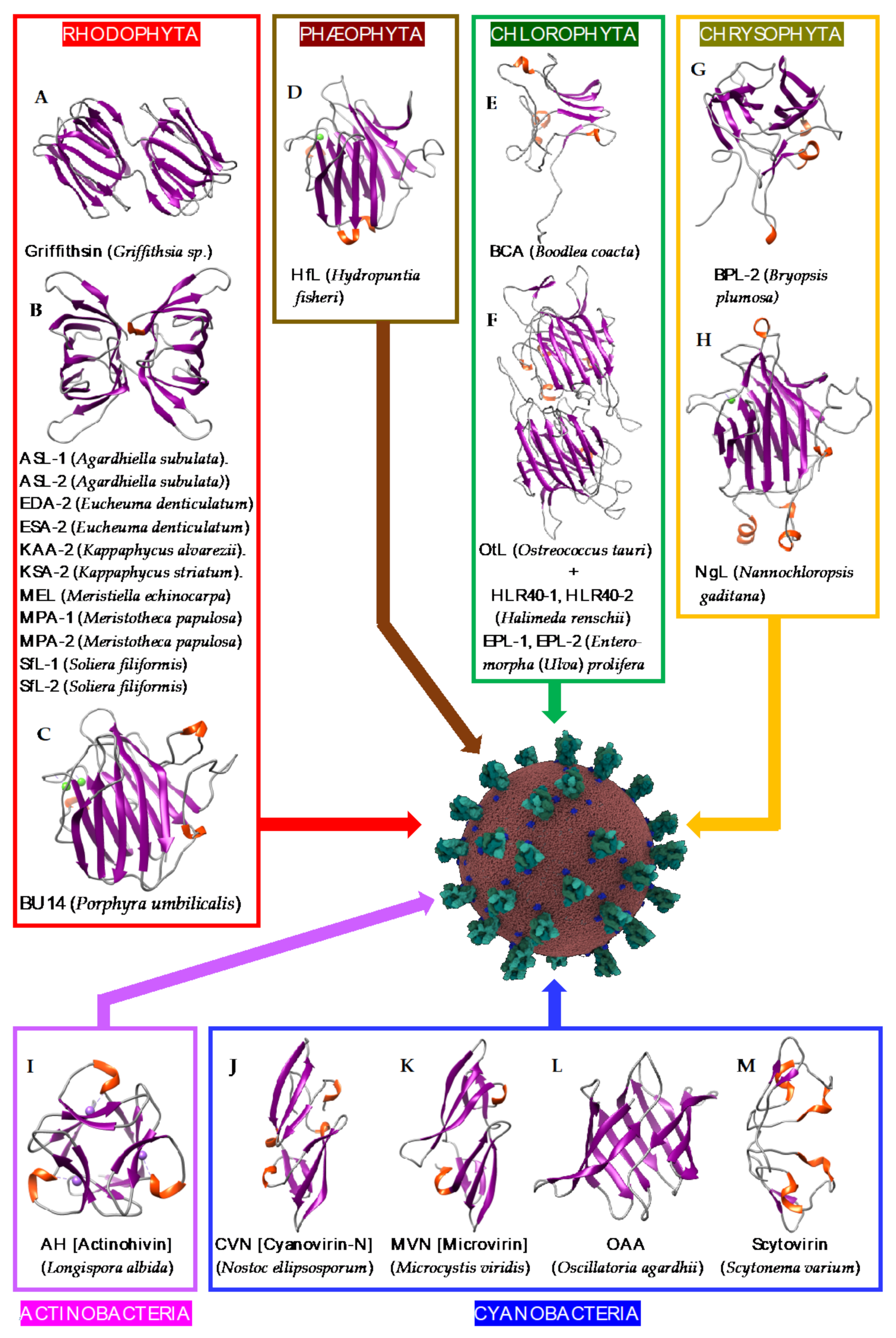 Cells 10 01619 g018 Cells 10 01619 g018