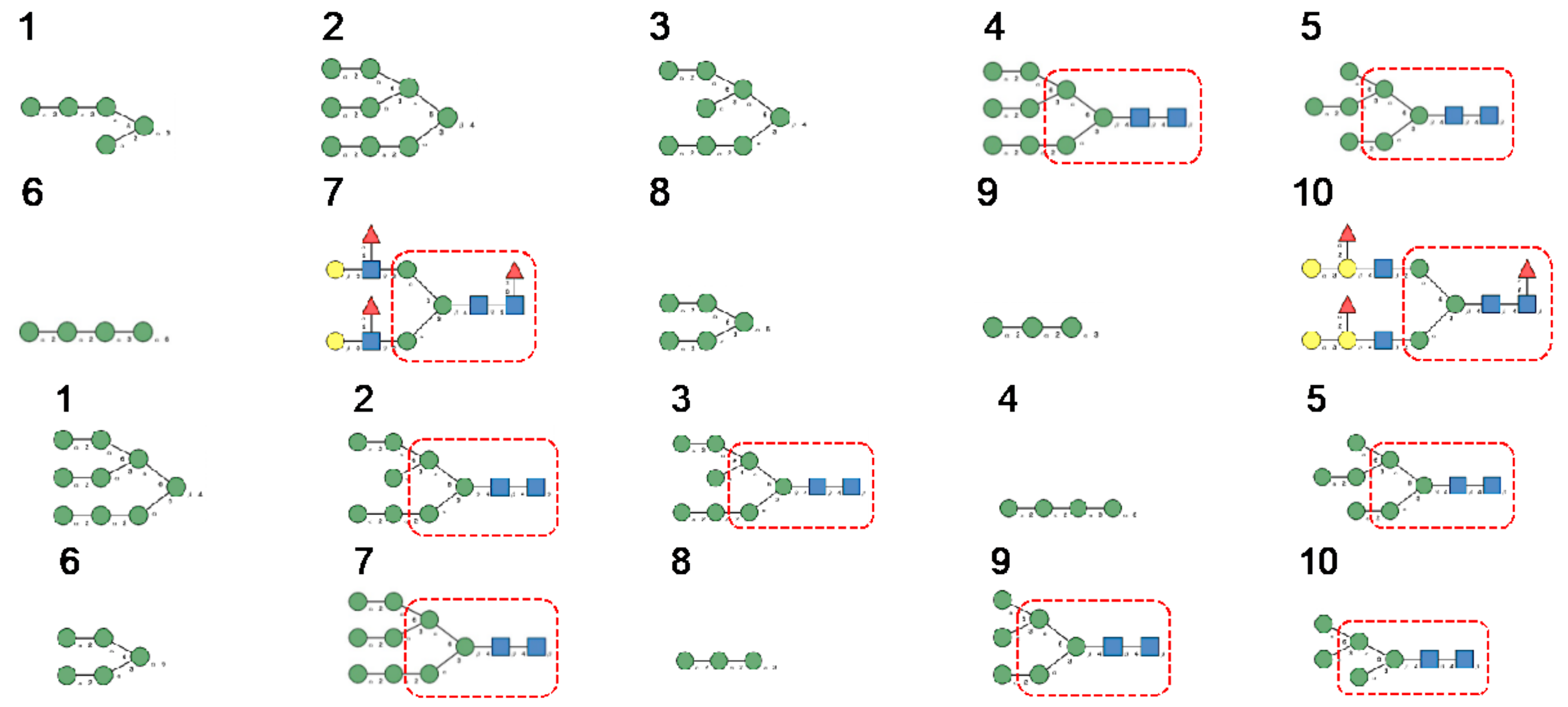 Cells 10 01619 g022 Cells 10 01619 g022