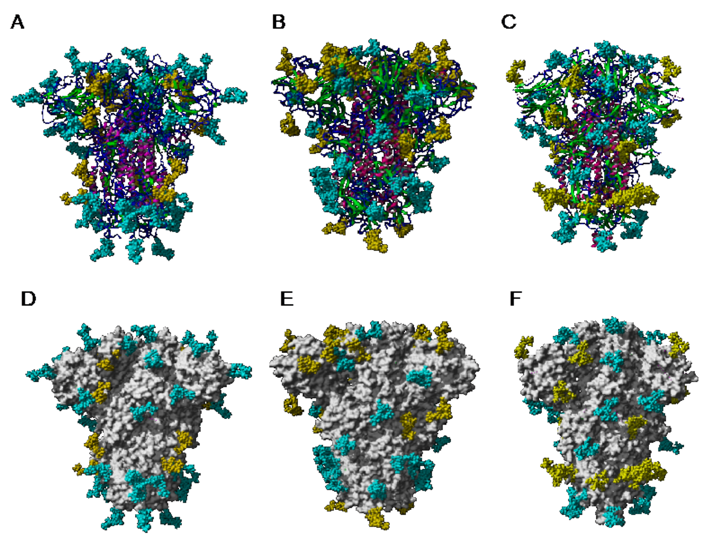 Cells 10 01619 g028 Cells 10 01619 g028