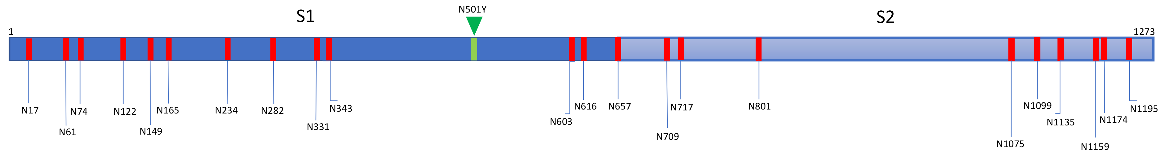 Cells 10 01619 g030 Cells 10 01619 g030