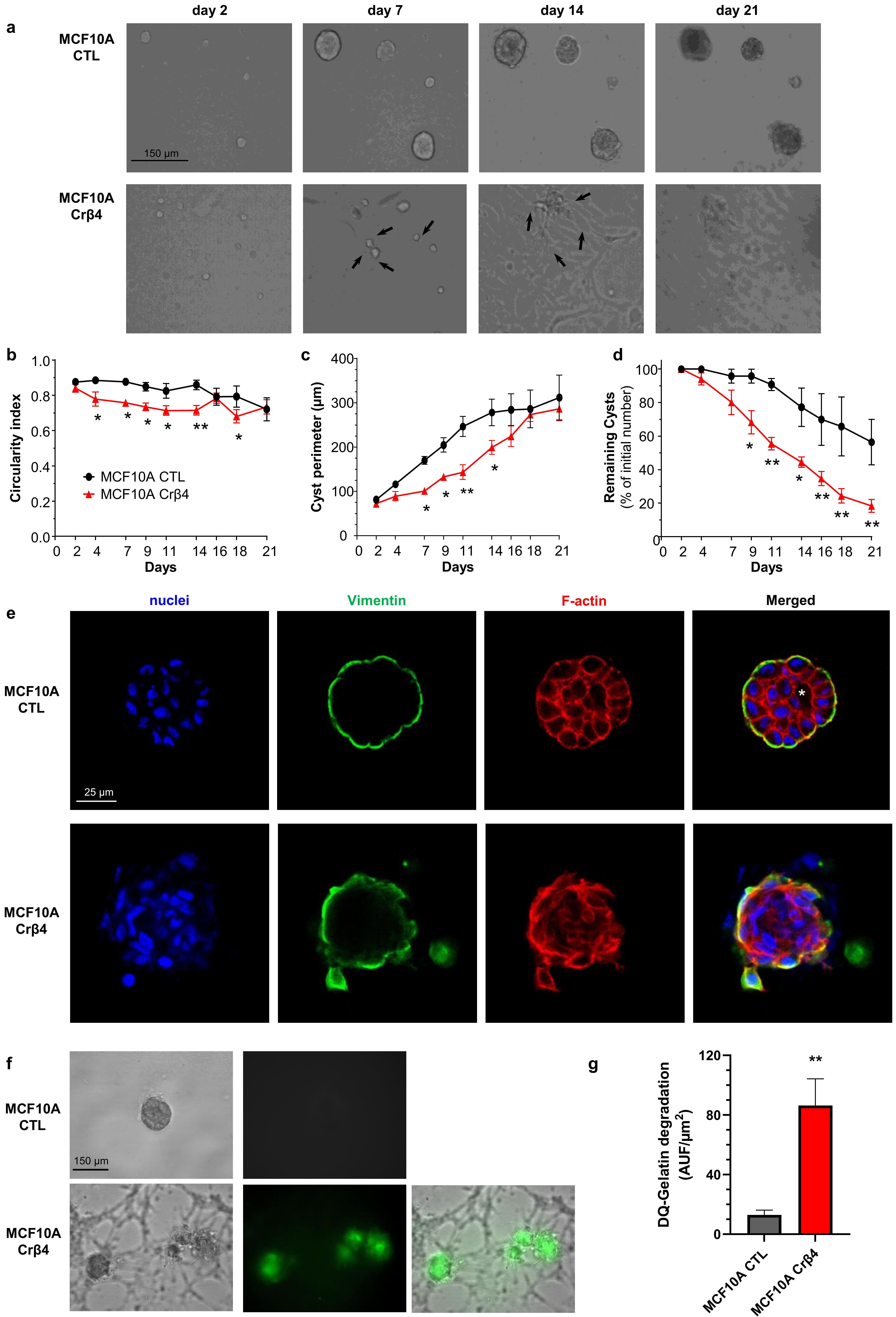 Cells 10 01624 g002 550