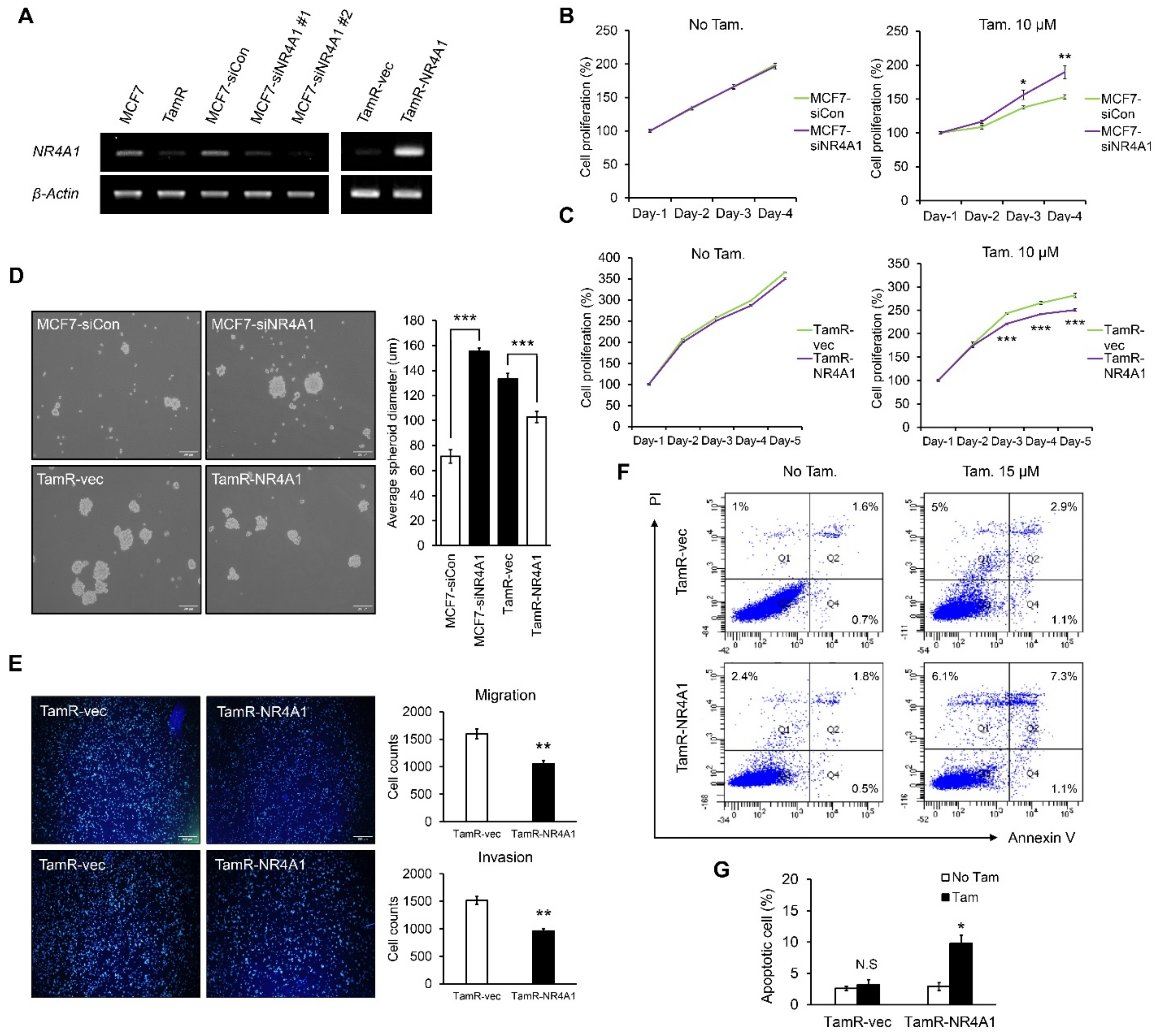 Cells 10 01633 g002 550