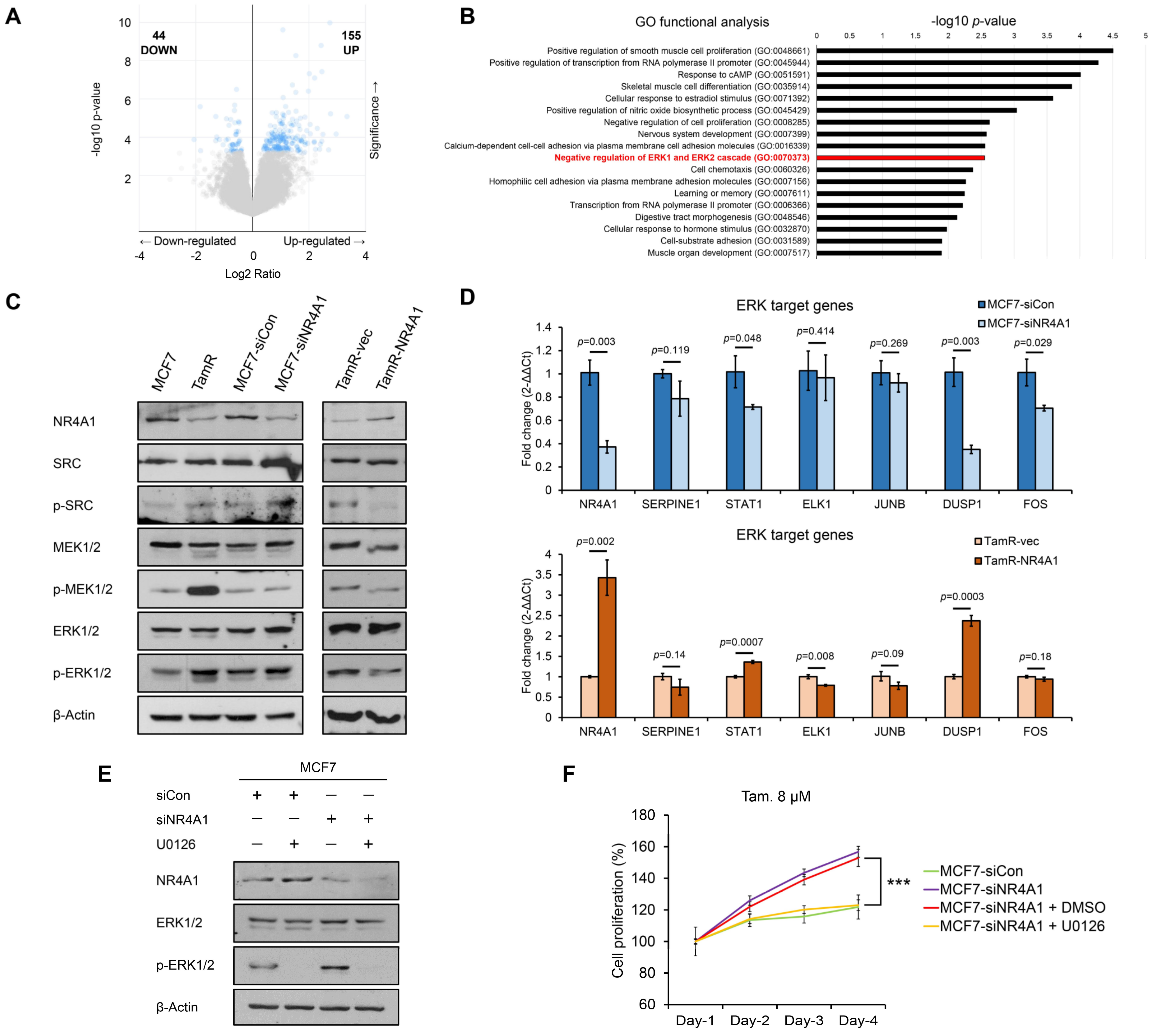 Cells 10 01633 g004 550