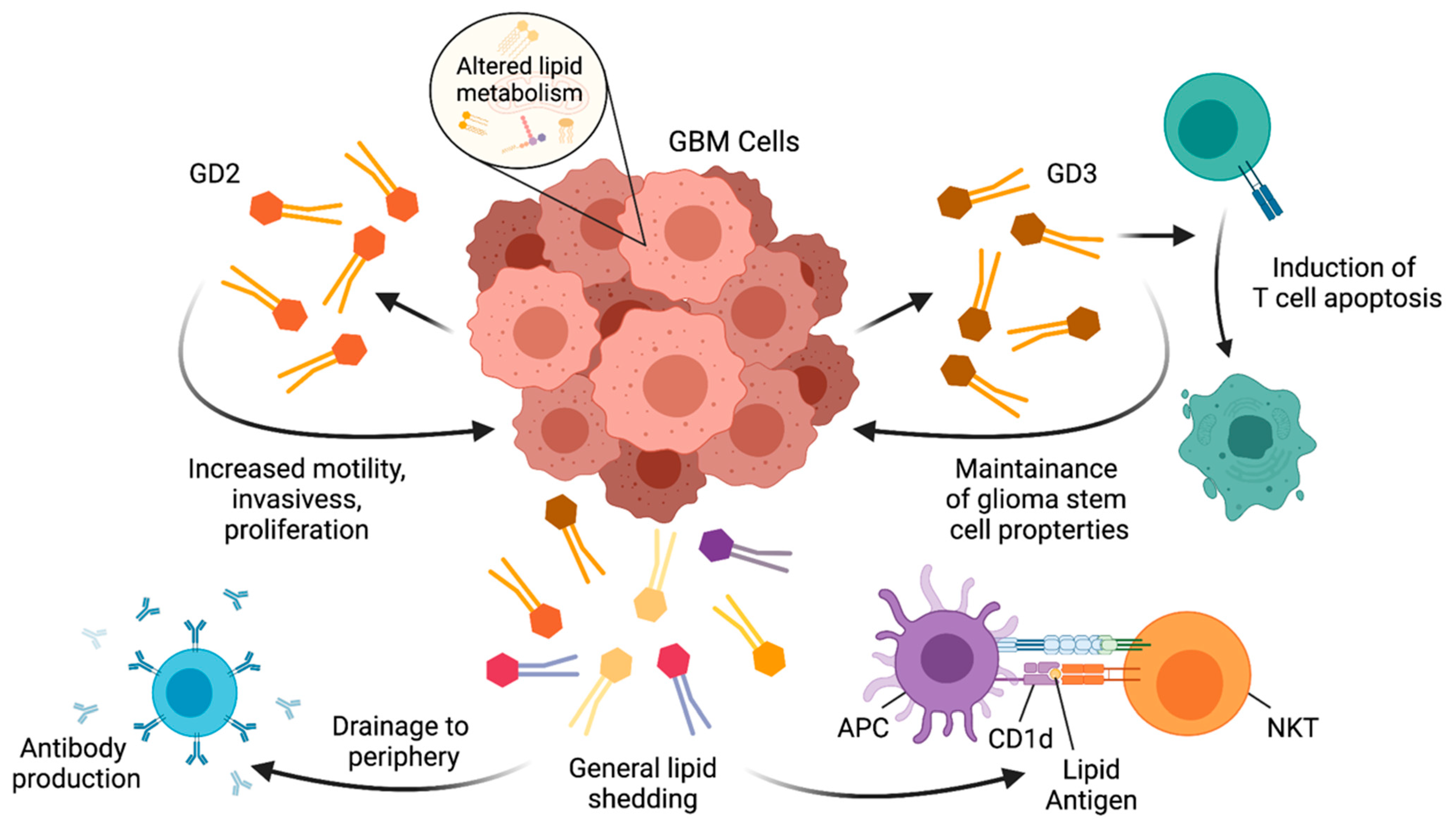 Cells 10 01641 g002 Cells 10 01641 g002