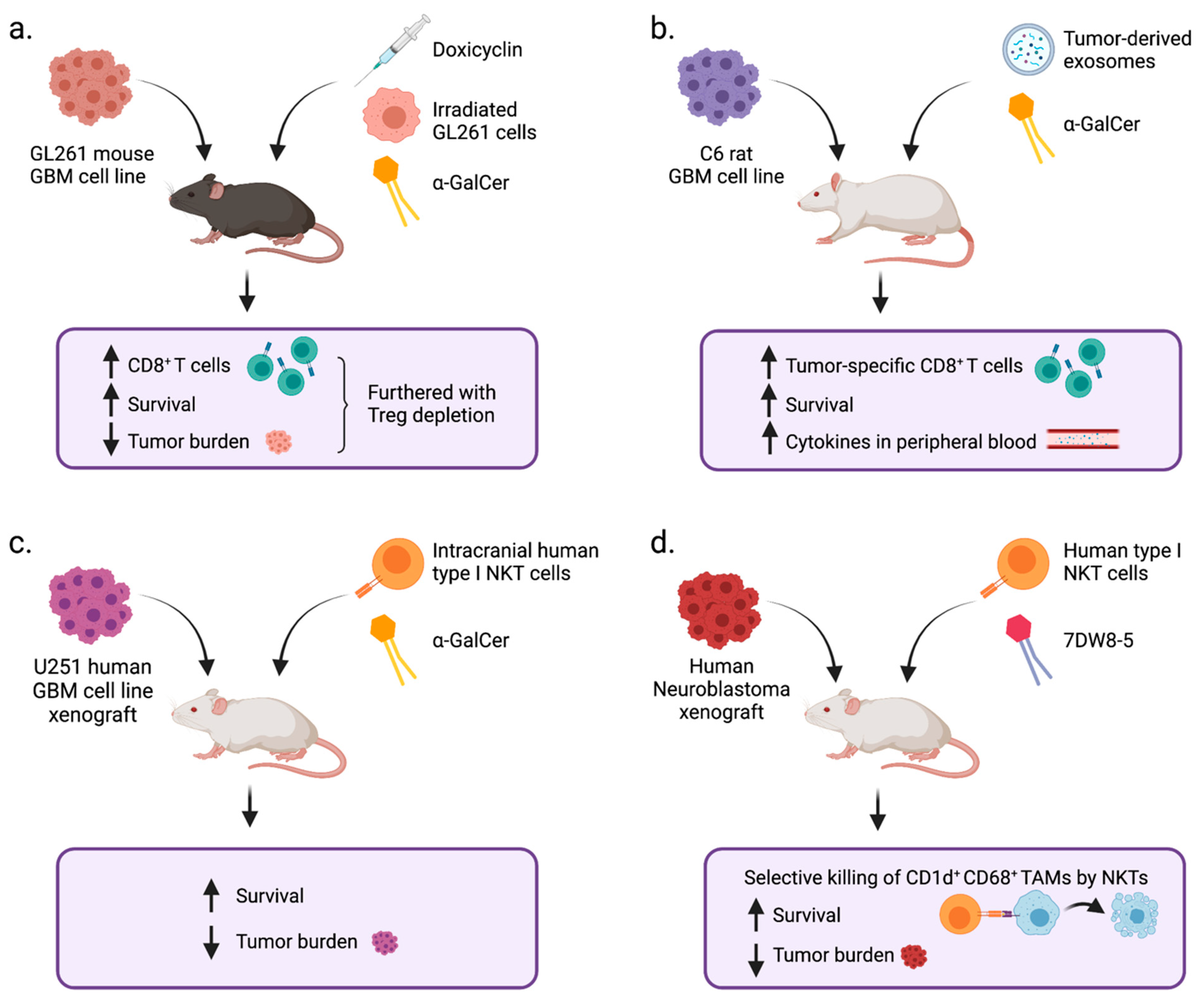 Cells 10 01641 g003 Cells 10 01641 g003