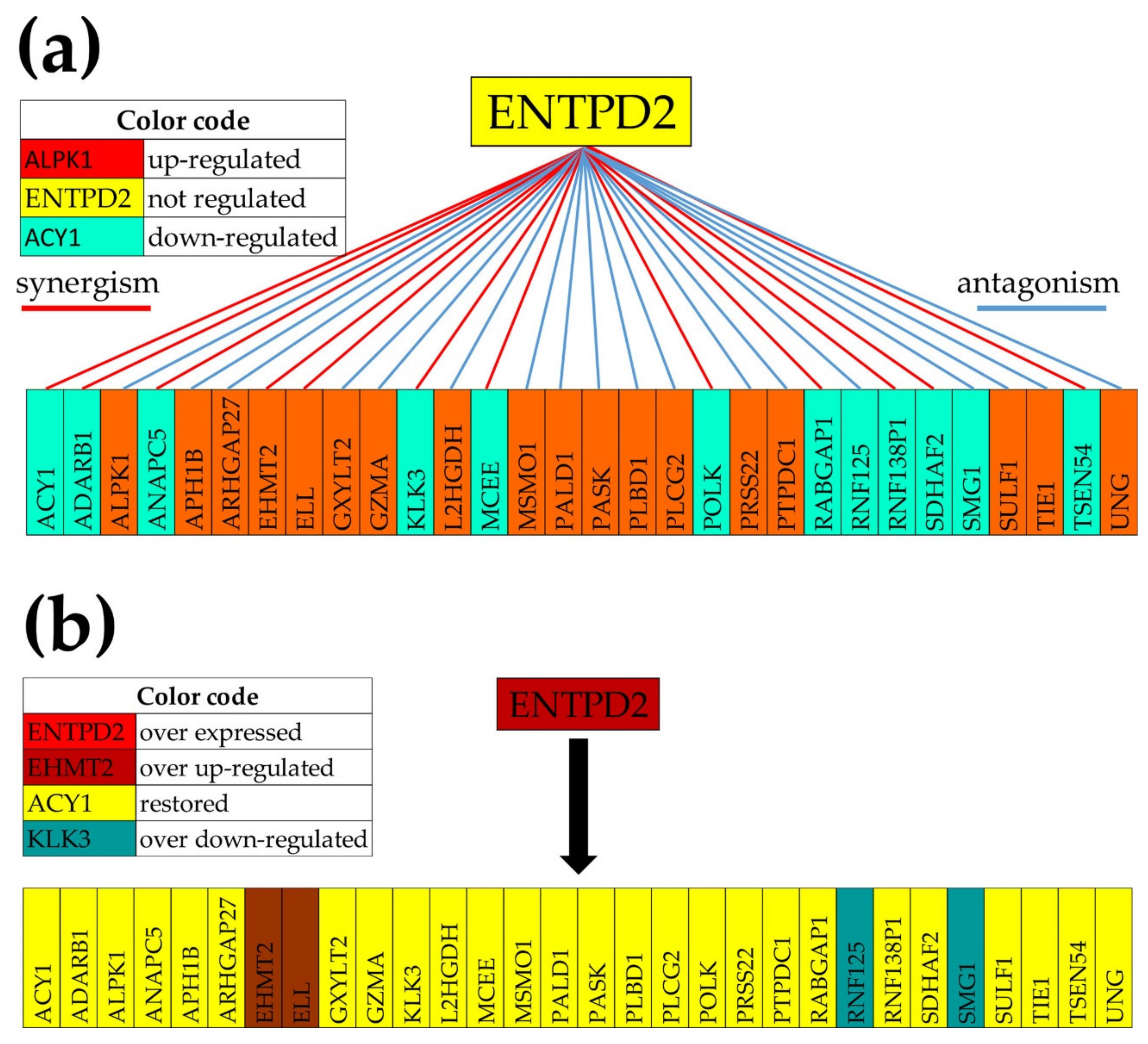 Cells 10 01644 g007 Cells 10 01644 g007