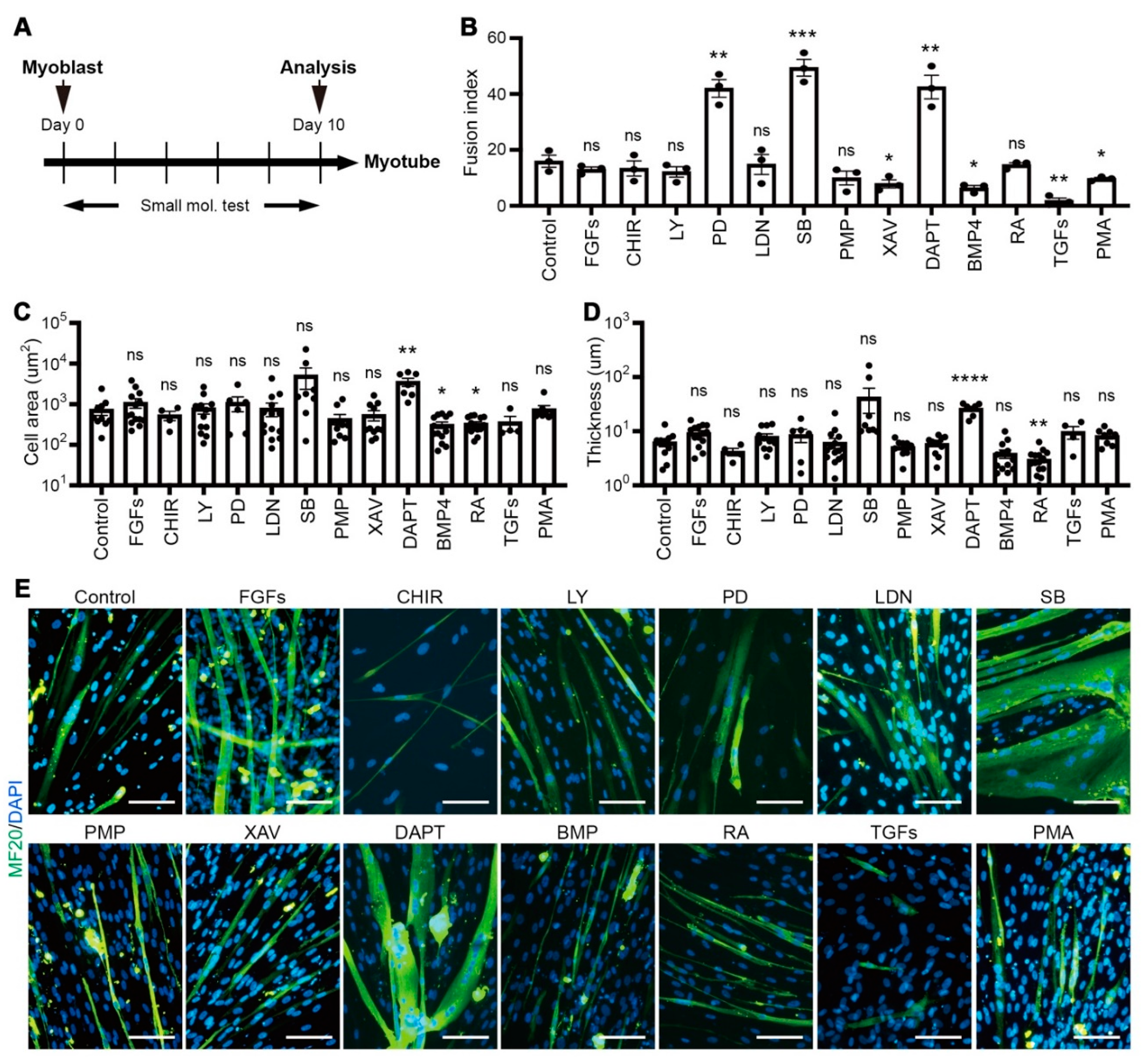 Cells 10 01649 g002a