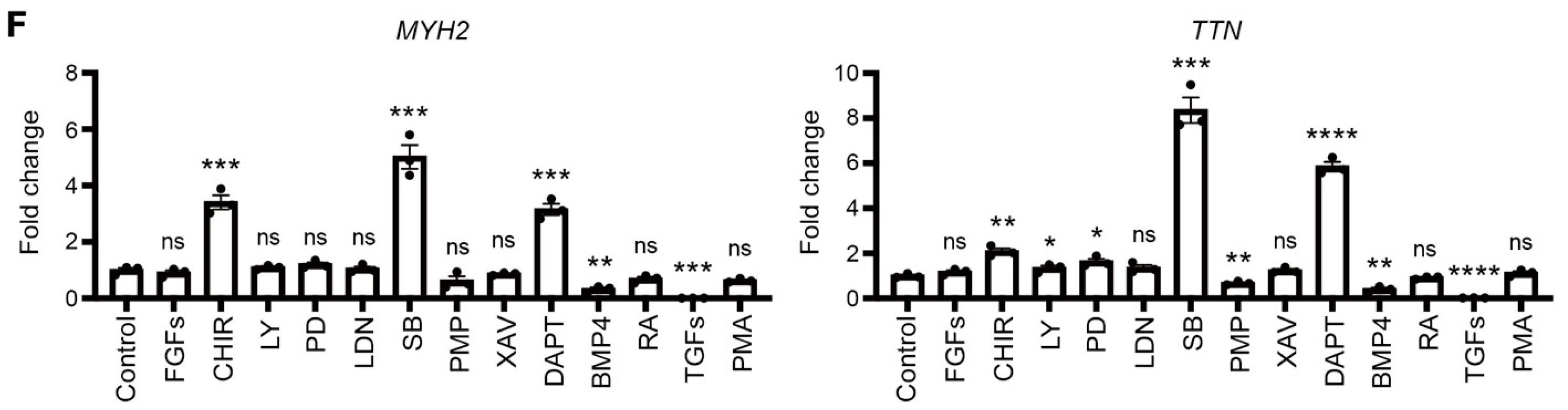 Cells 10 01649 g002b