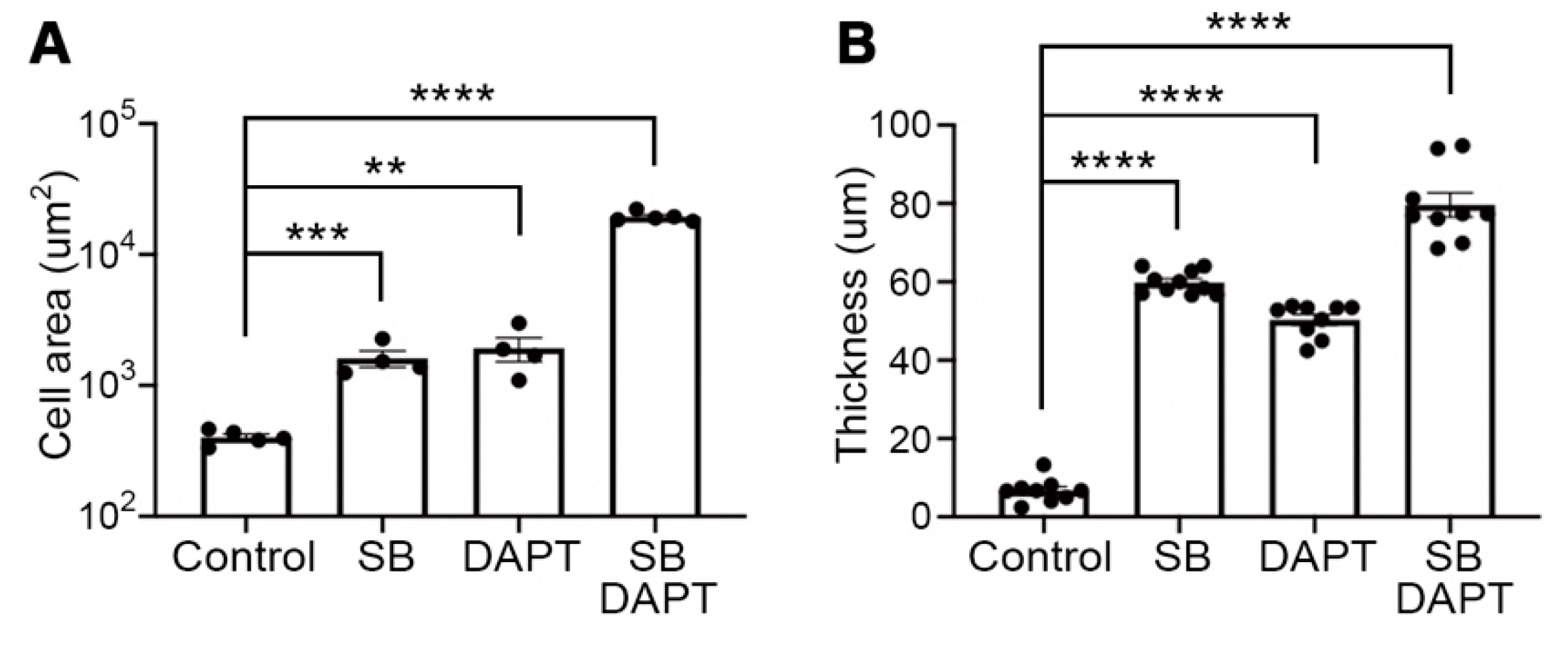 Cells 10 01649 g003a