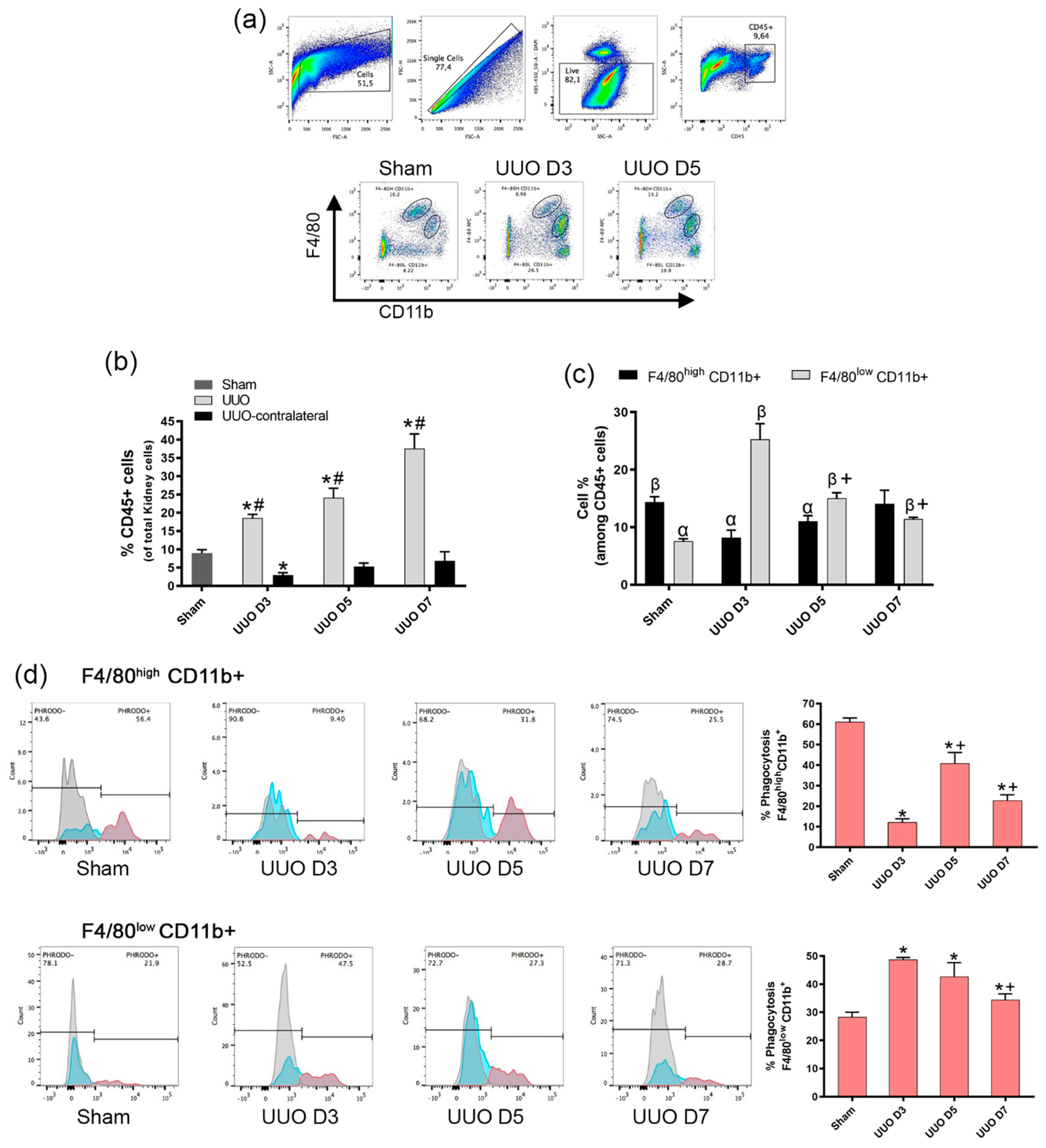 Cells 10 01650 g002 550