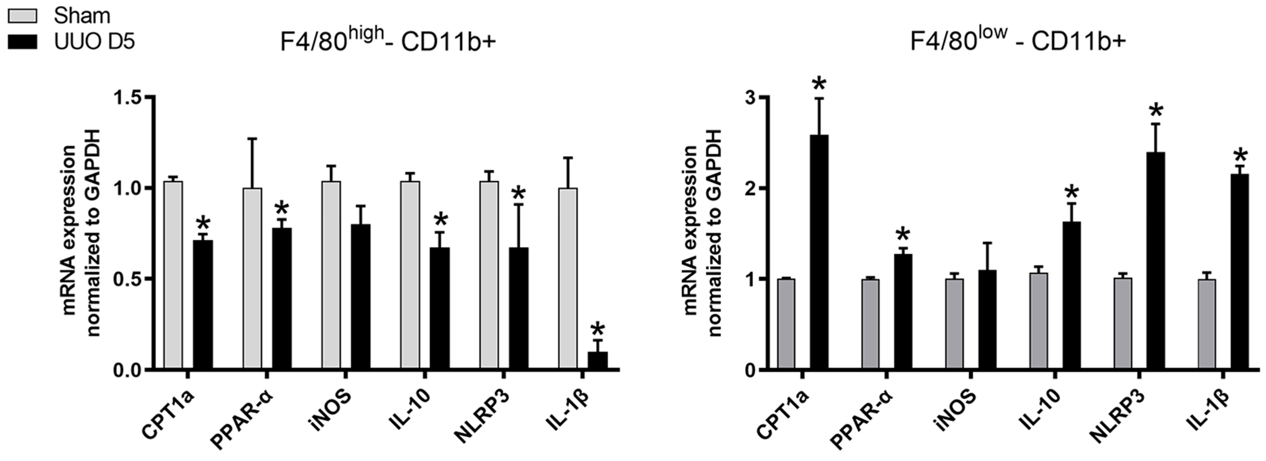 Cells 10 01650 g003 550