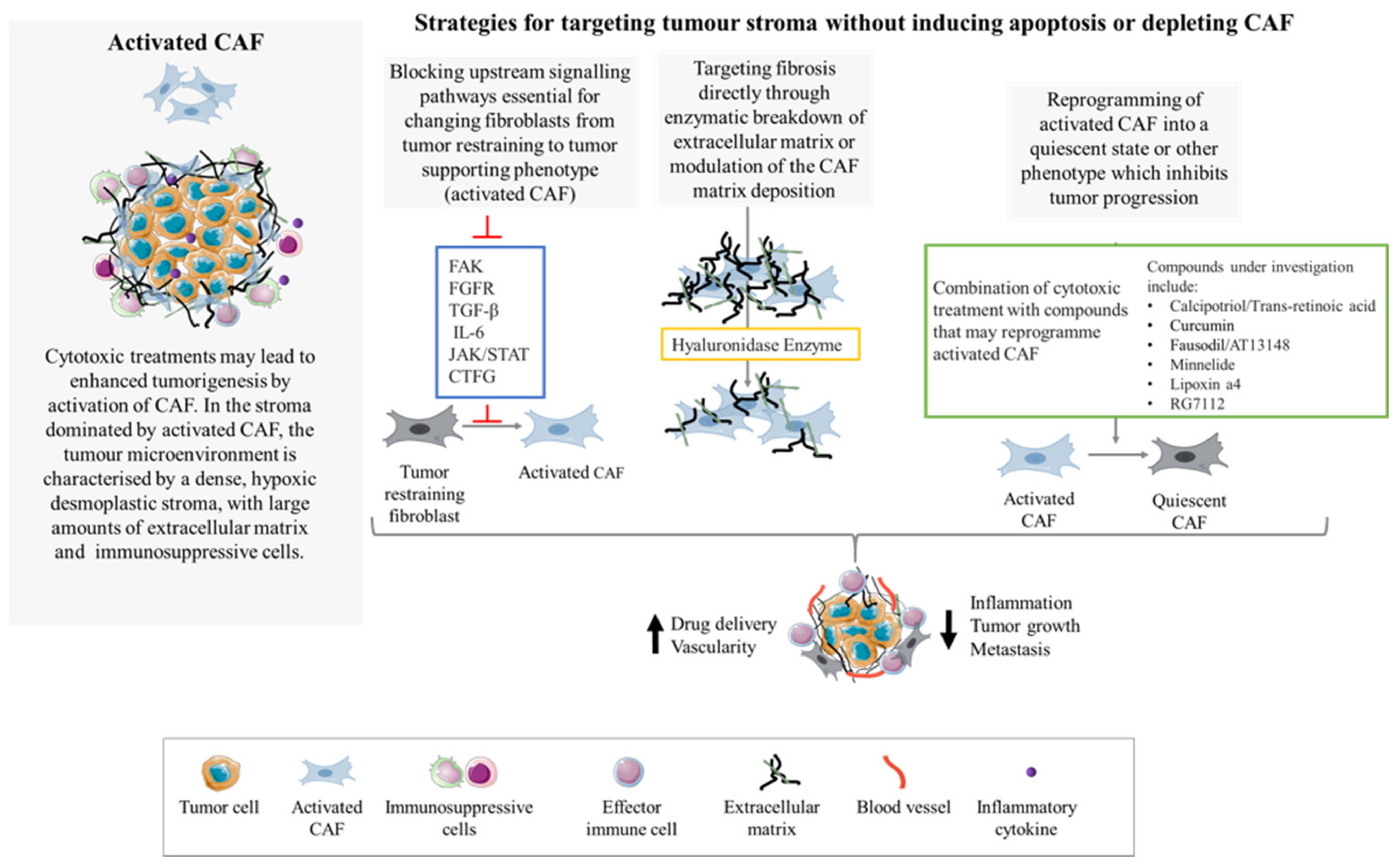 Cells 10 01653 g003 Cells 10 01653 g003