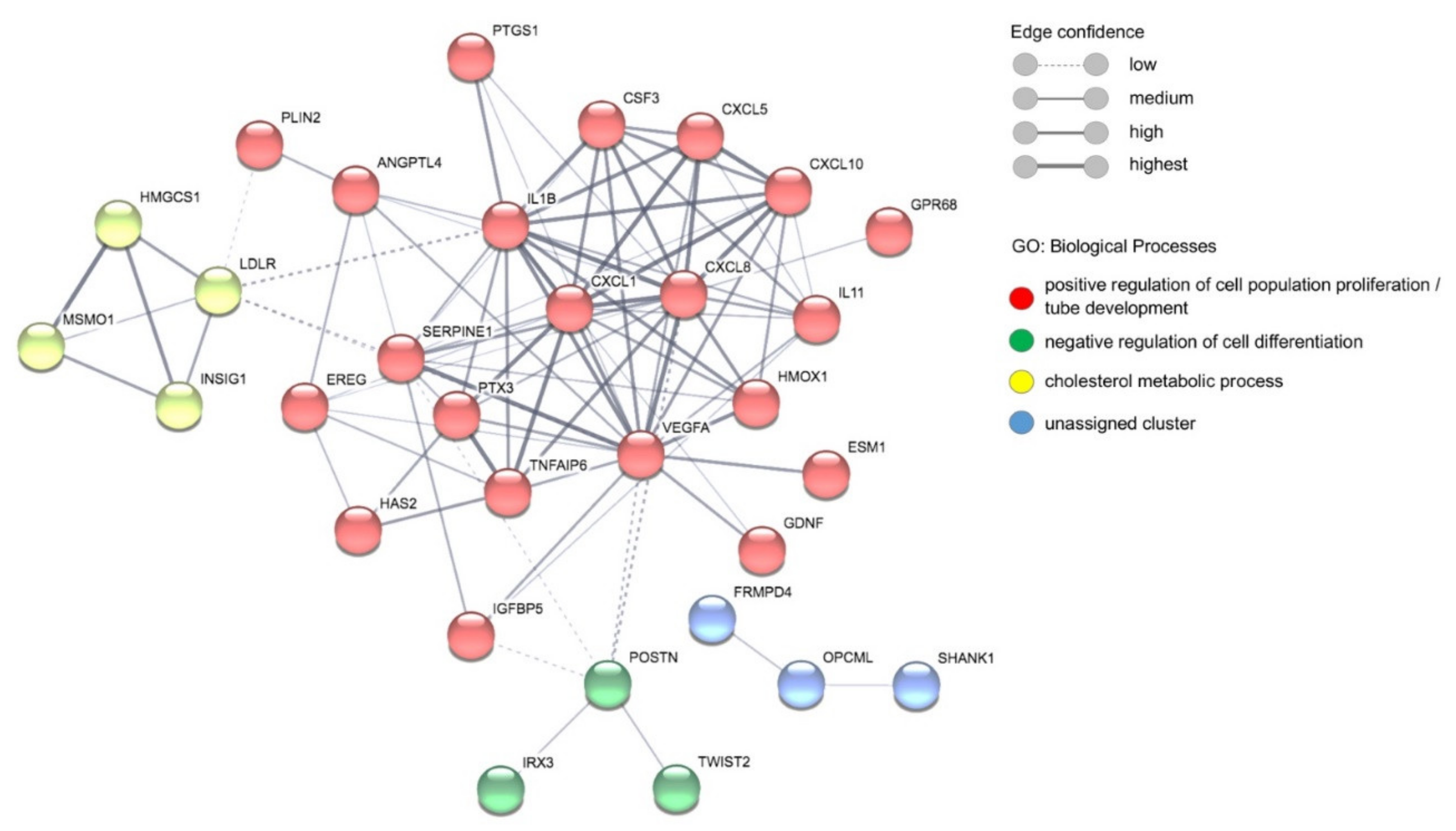 Cells 10 01656 g006 Cells 10 01656 g006