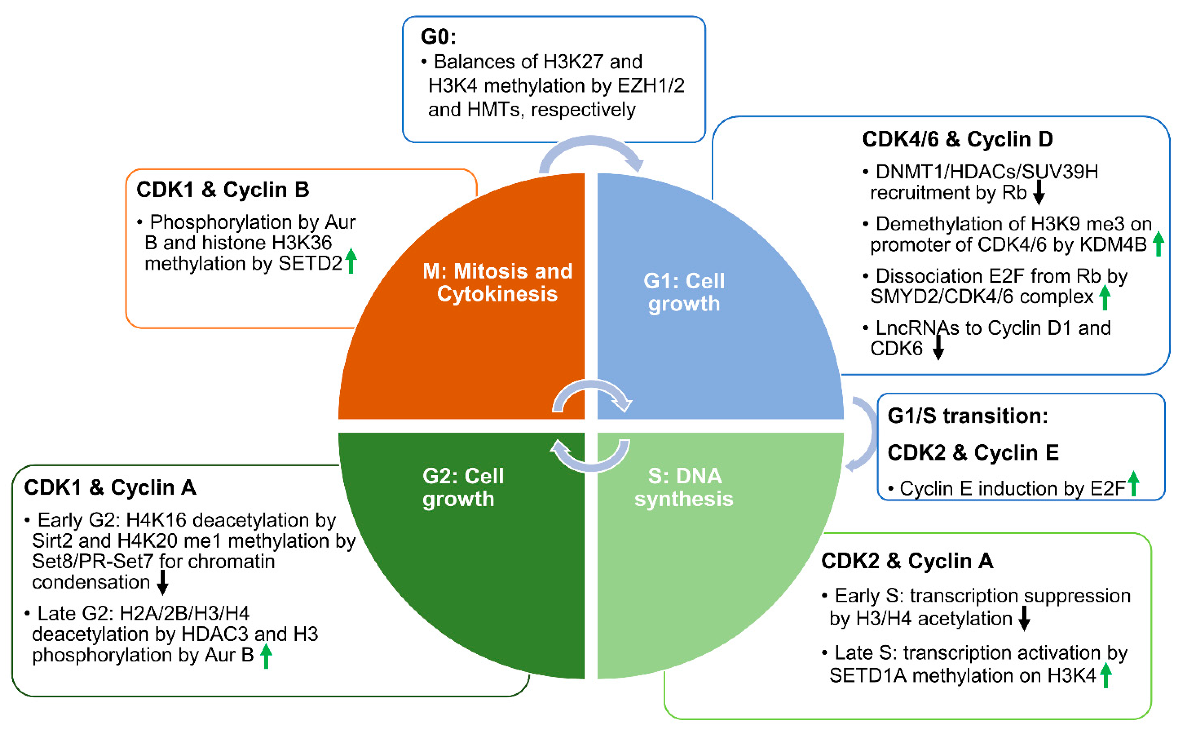 Cells 10 01662 g001 Cells 10 01662 g001