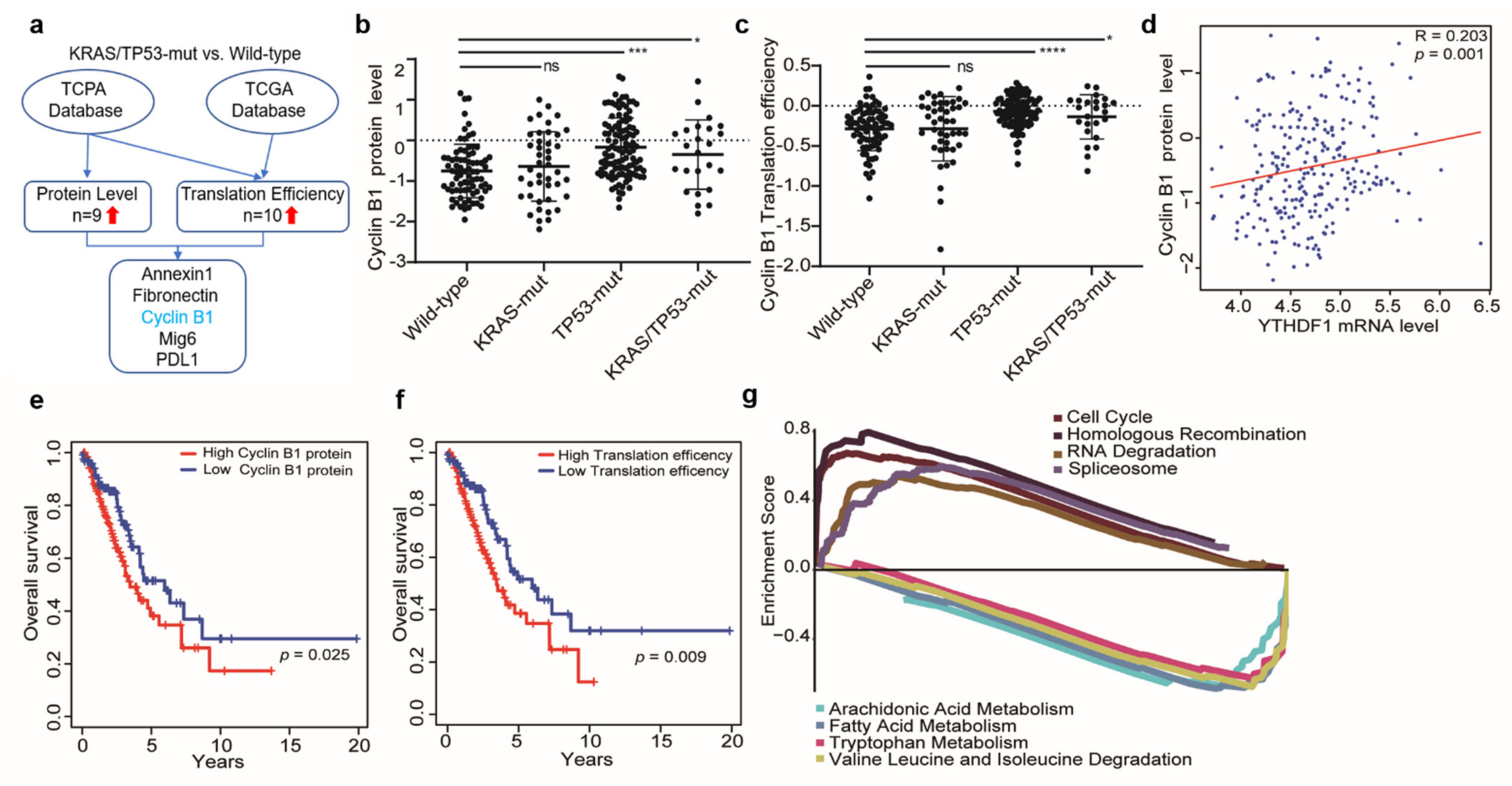 Cells 10 01669 g002 Cells 10 01669 g002