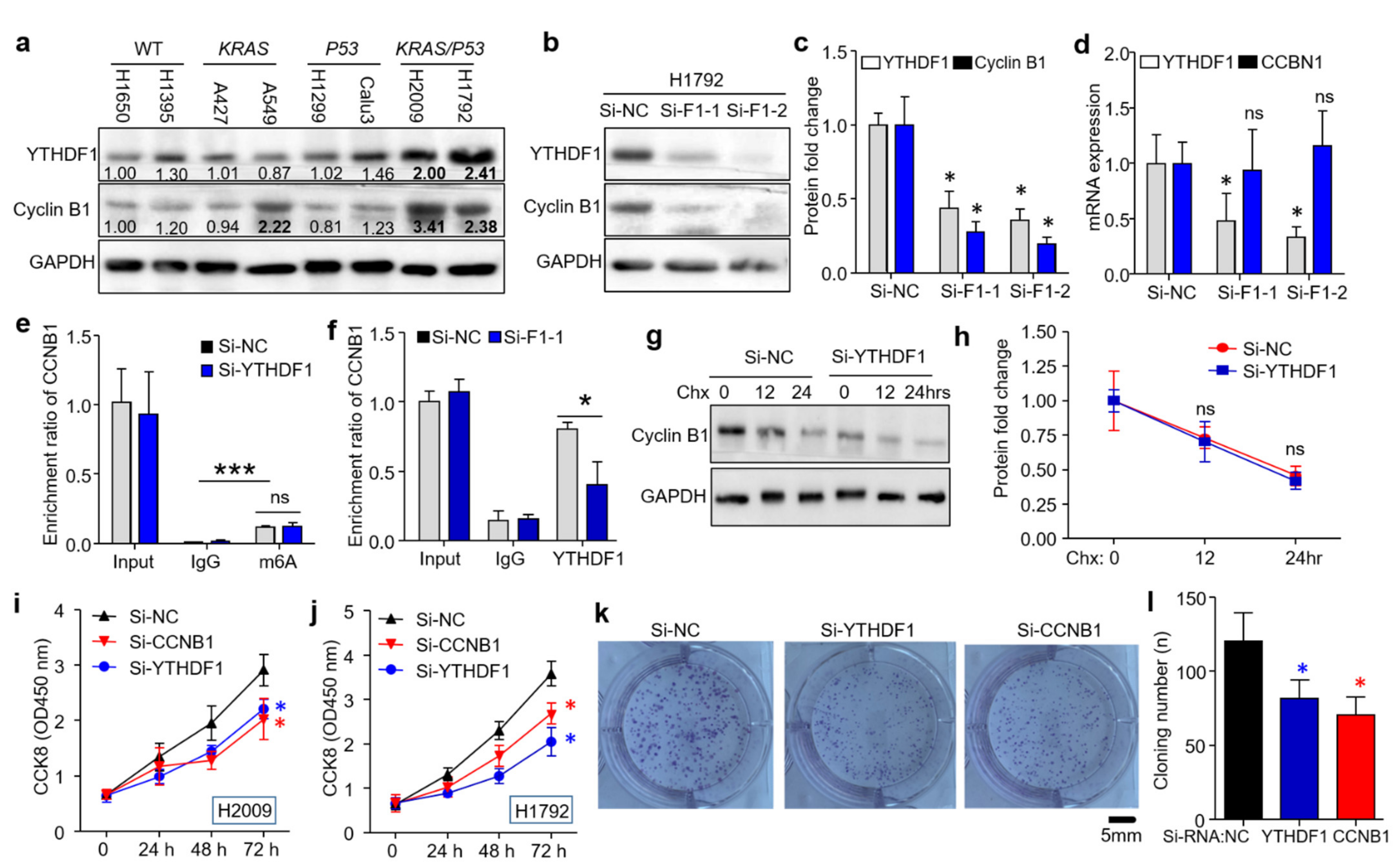 Cells 10 01669 g003 Cells 10 01669 g003