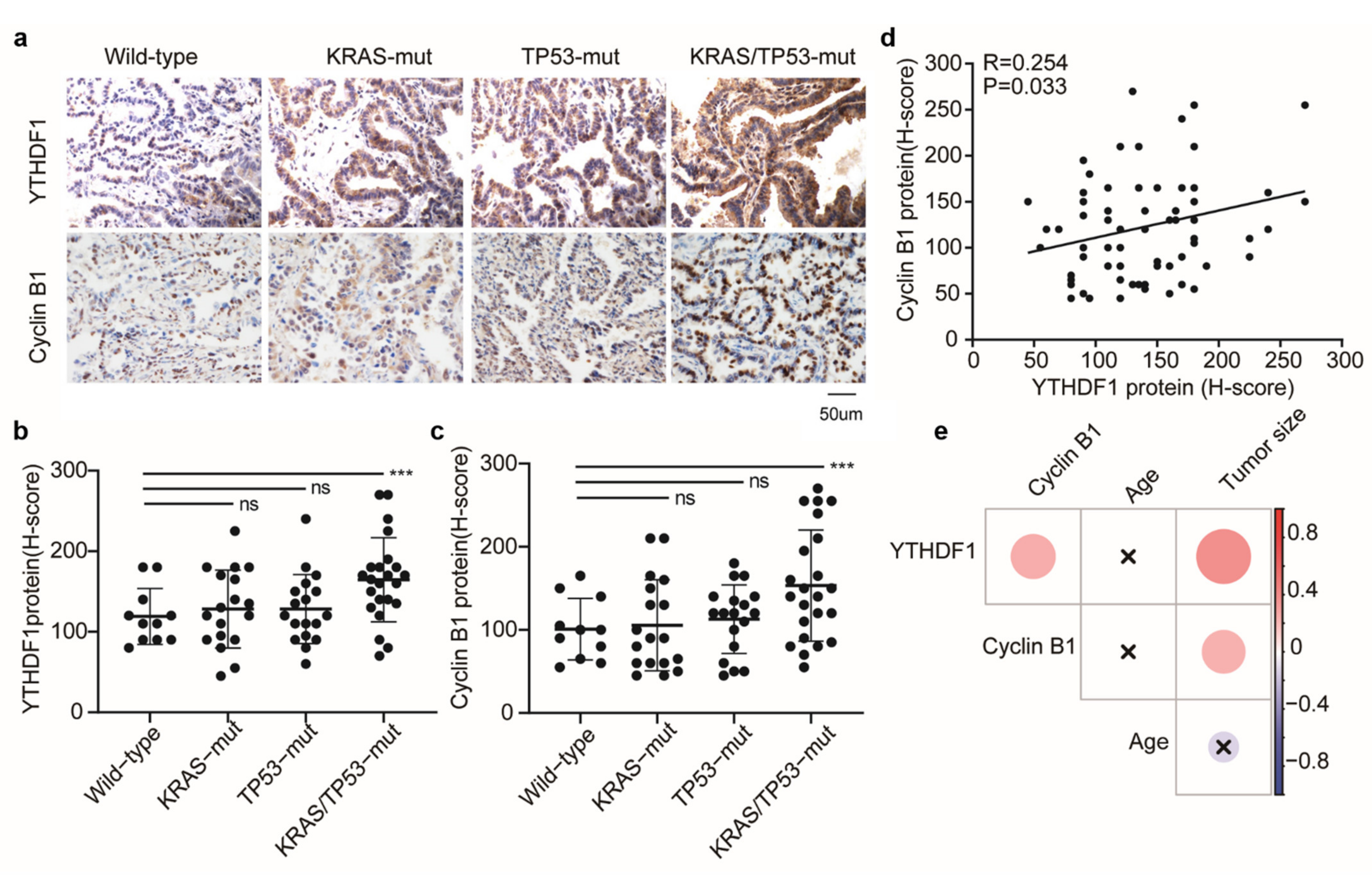 Cells 10 01669 g004 Cells 10 01669 g004