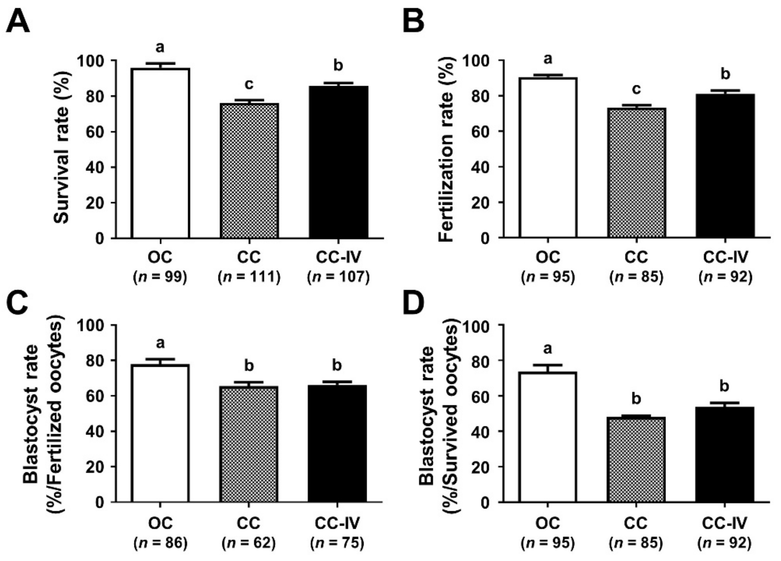 Cells 10 01670 g004 Cells 10 01670 g004