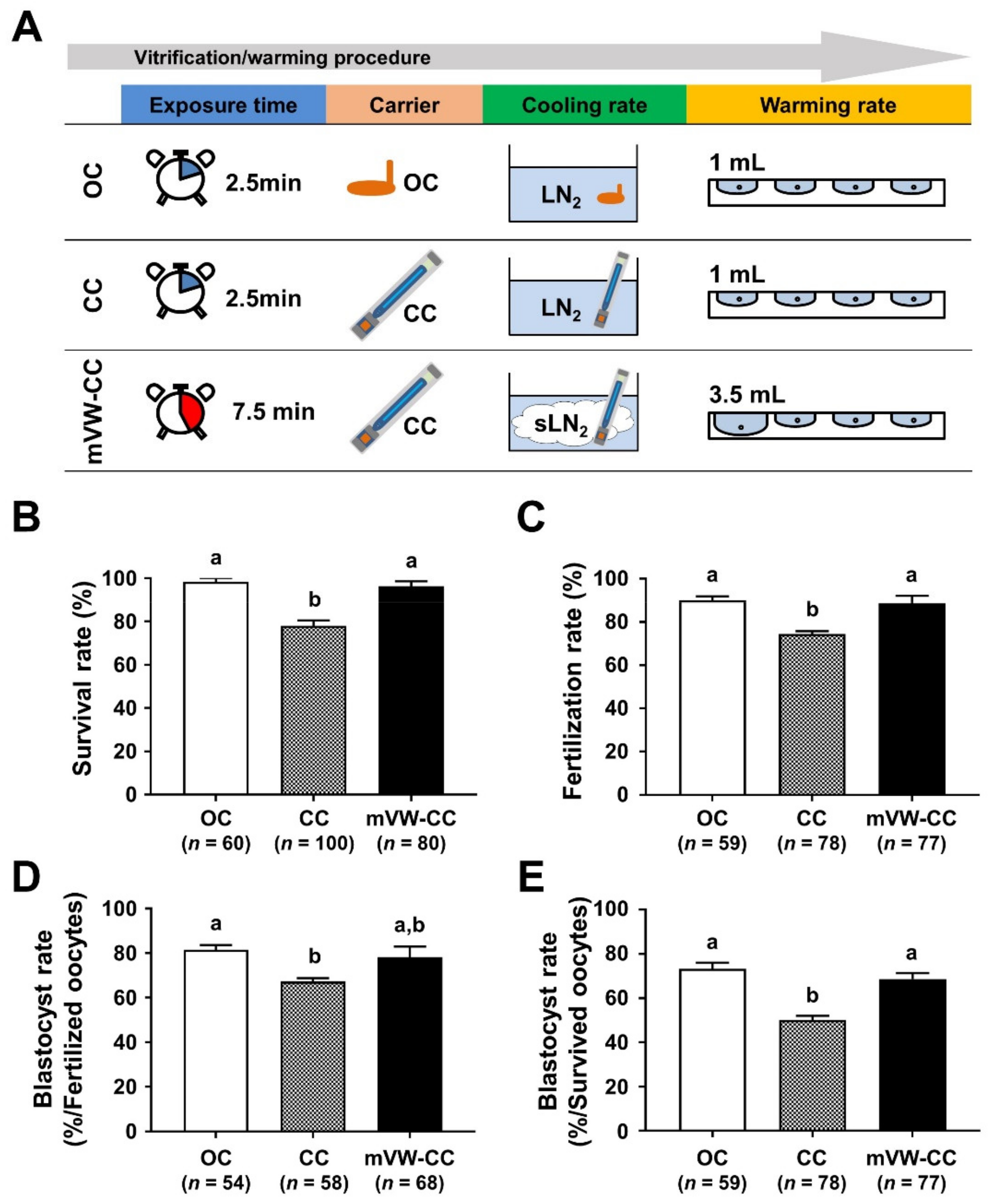 Cells 10 01670 g006 Cells 10 01670 g006