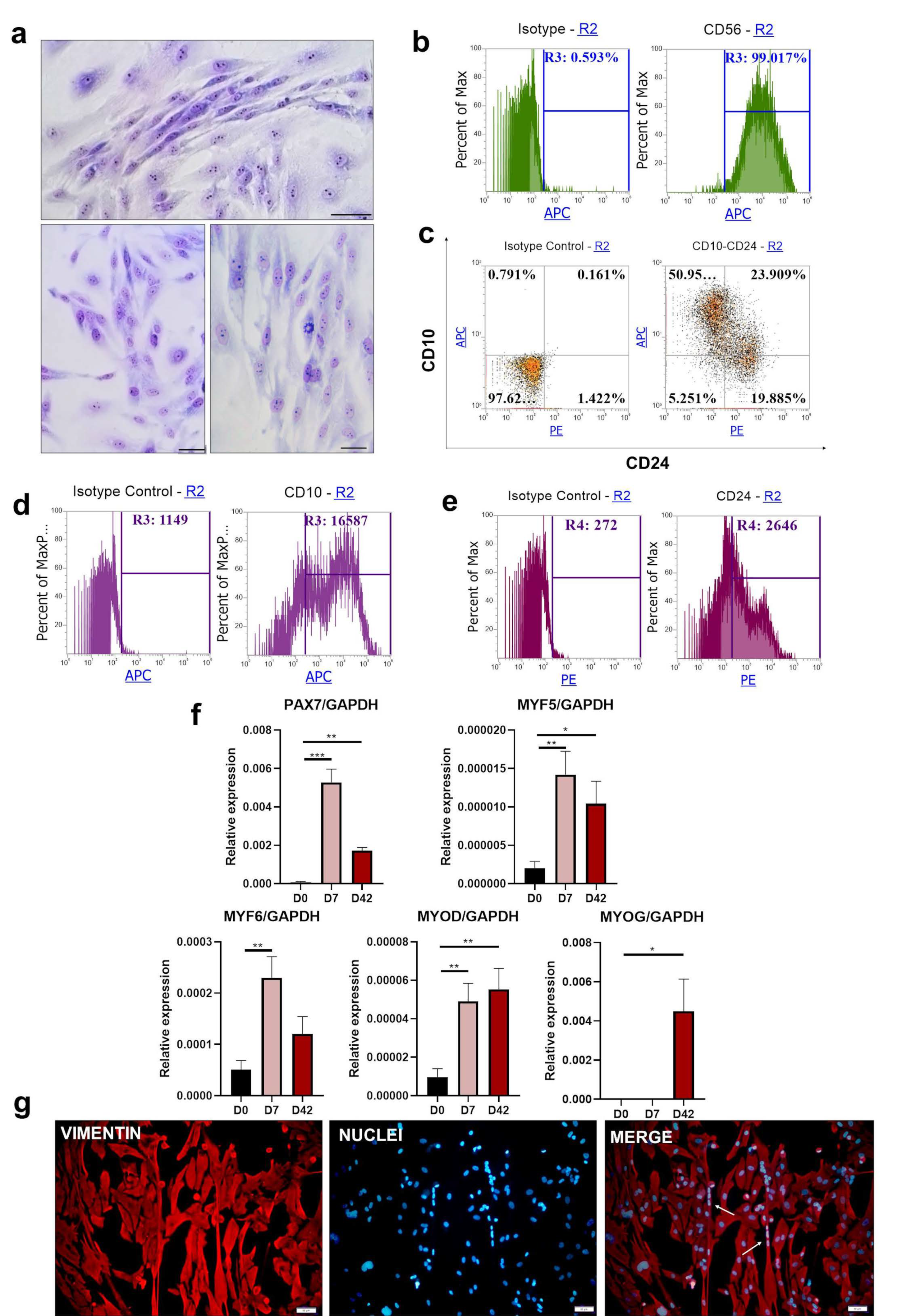 Cells 10 01671 g003 Cells 10 01671 g003