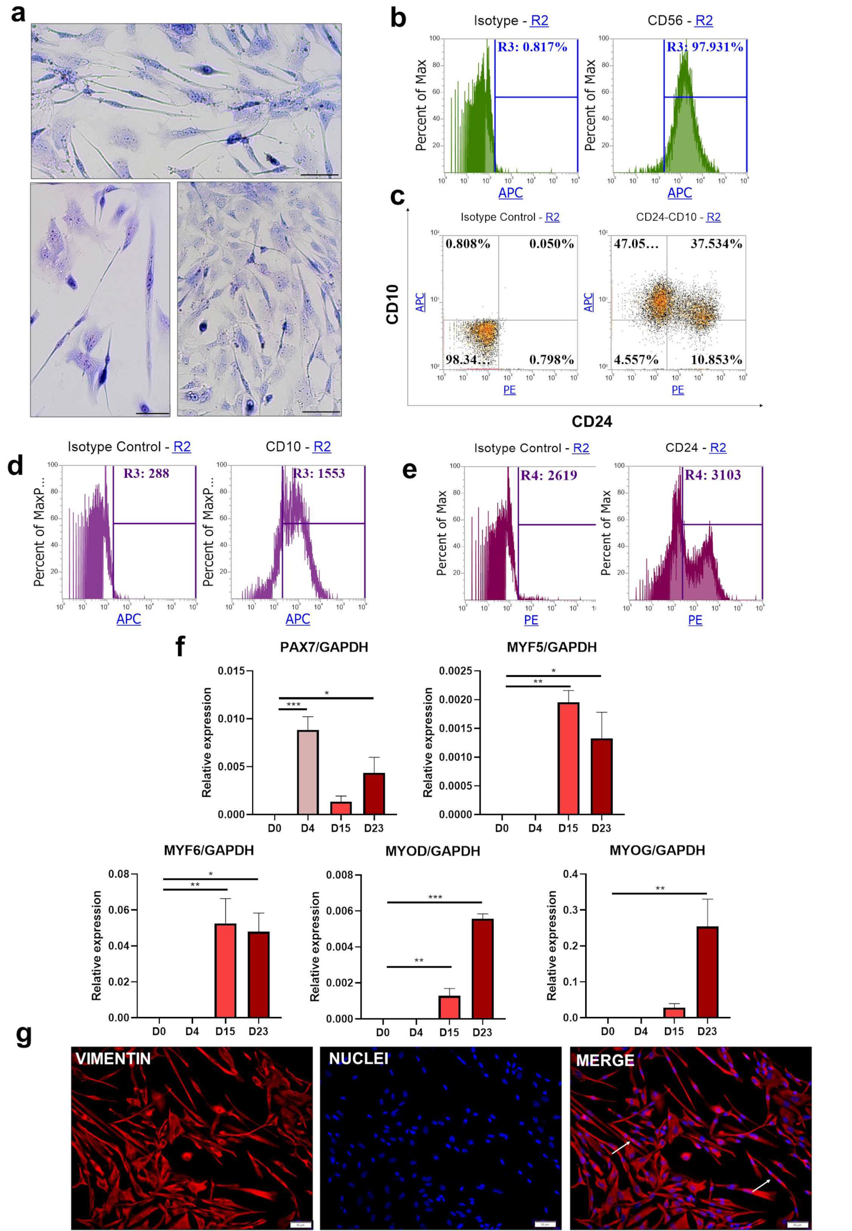 Cells 10 01671 g004 Cells 10 01671 g004