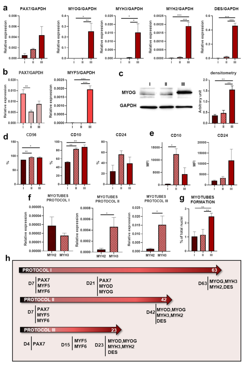 Cells 10 01671 g005 Cells 10 01671 g005