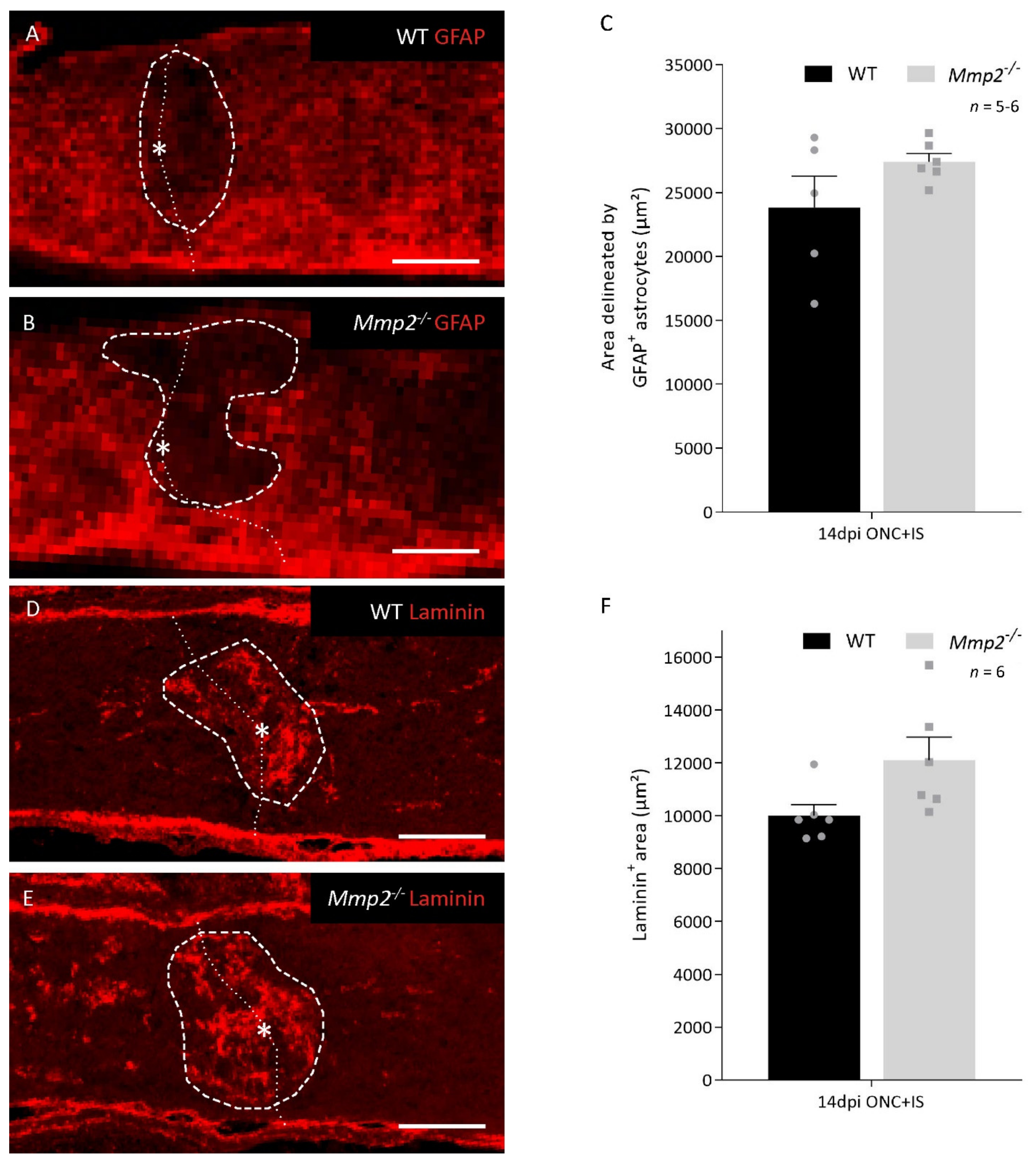 Cells 10 01672 g003 Cells 10 01672 g003