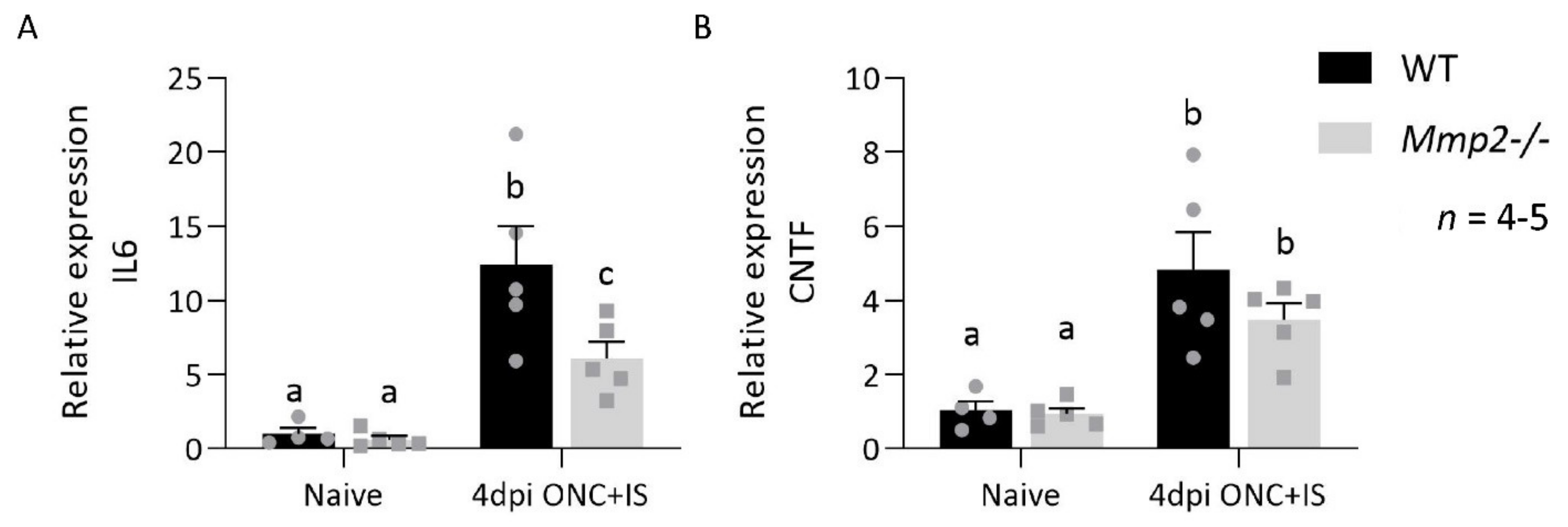 Cells 10 01672 g008 Cells 10 01672 g008