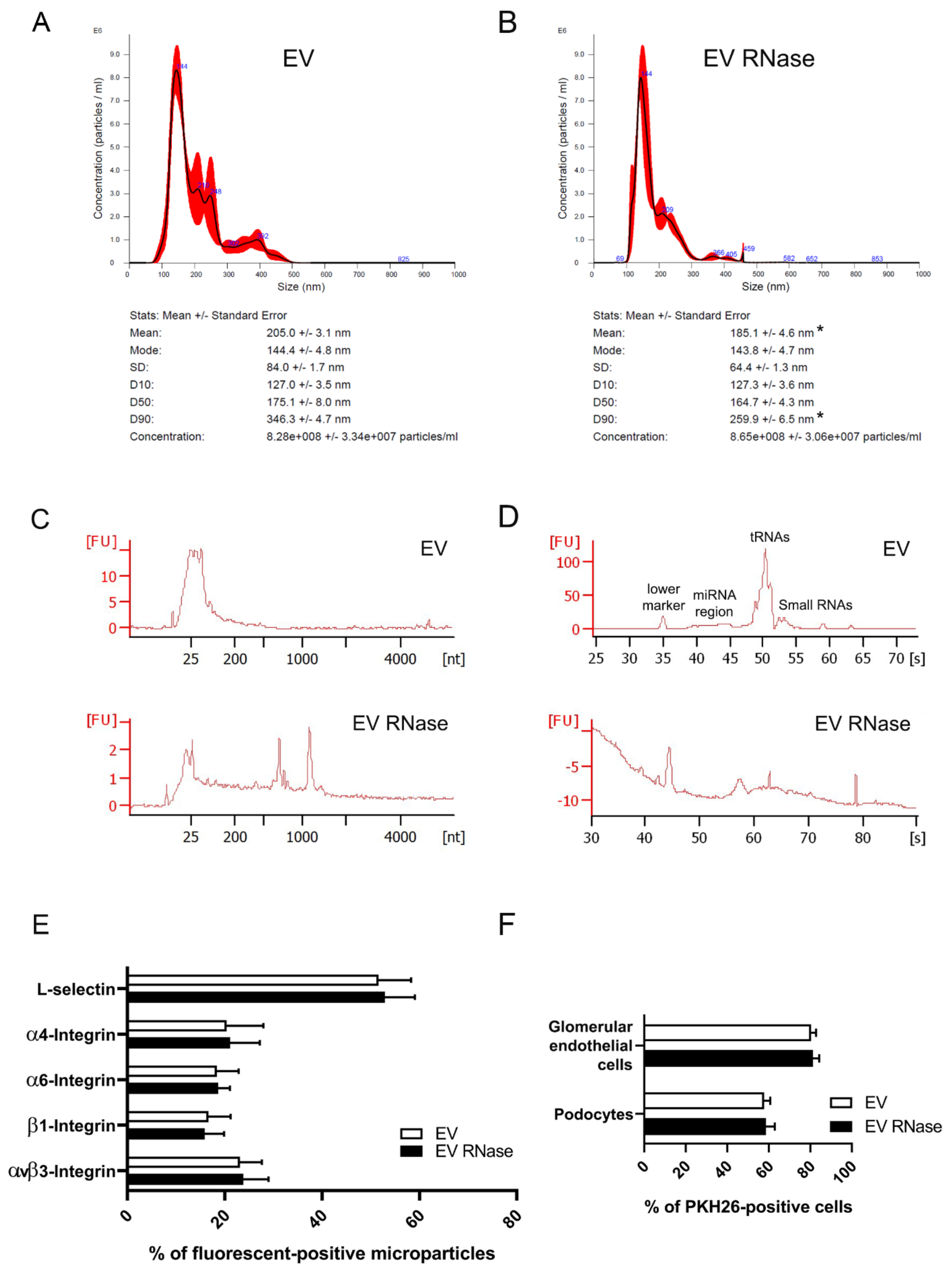 Cells 10 01675 g002 Cells 10 01675 g002