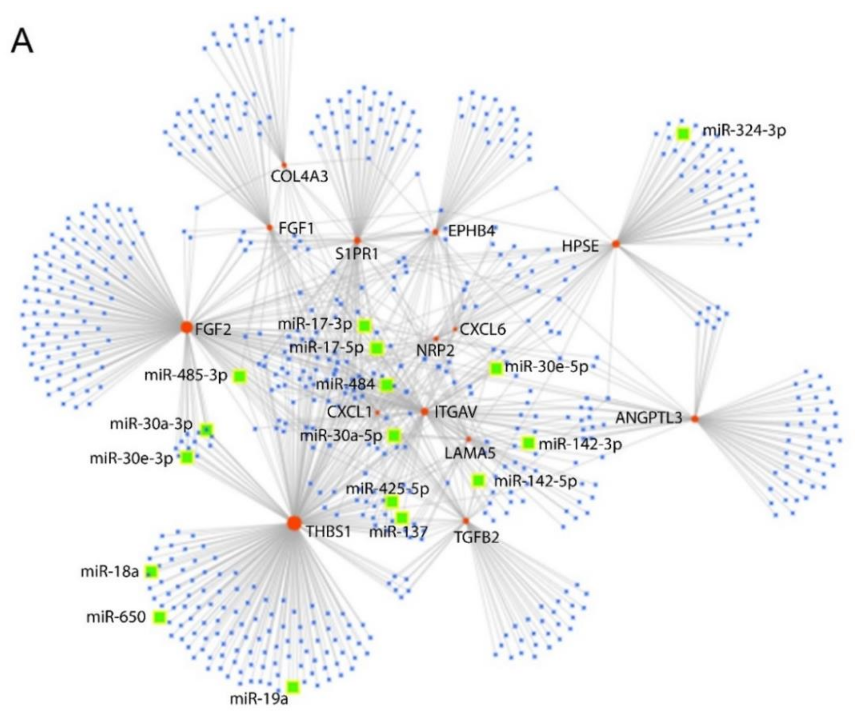 Cells 10 01675 g005a Cells 10 01675 g005a