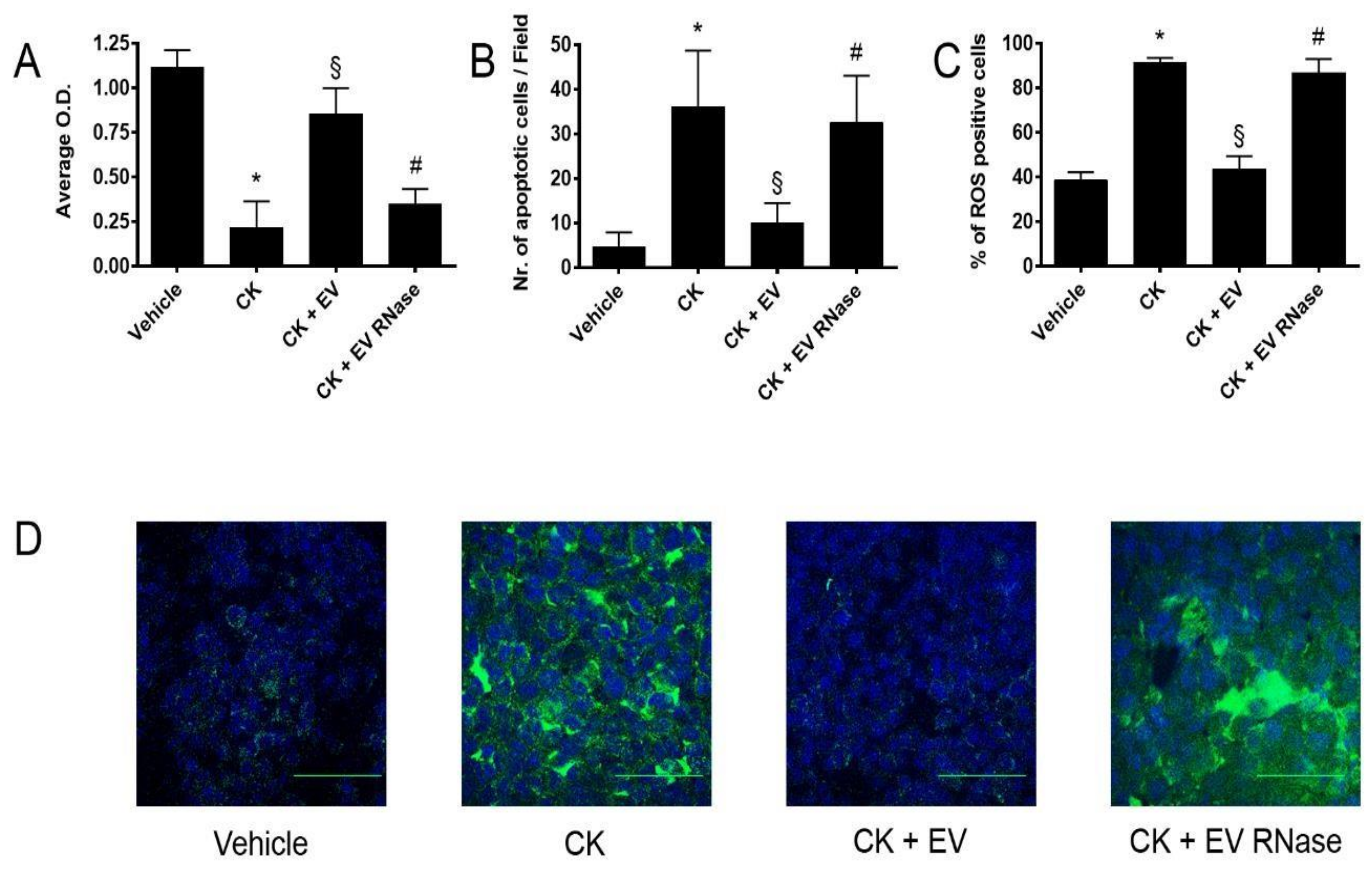 Cells 10 01675 g007 Cells 10 01675 g007