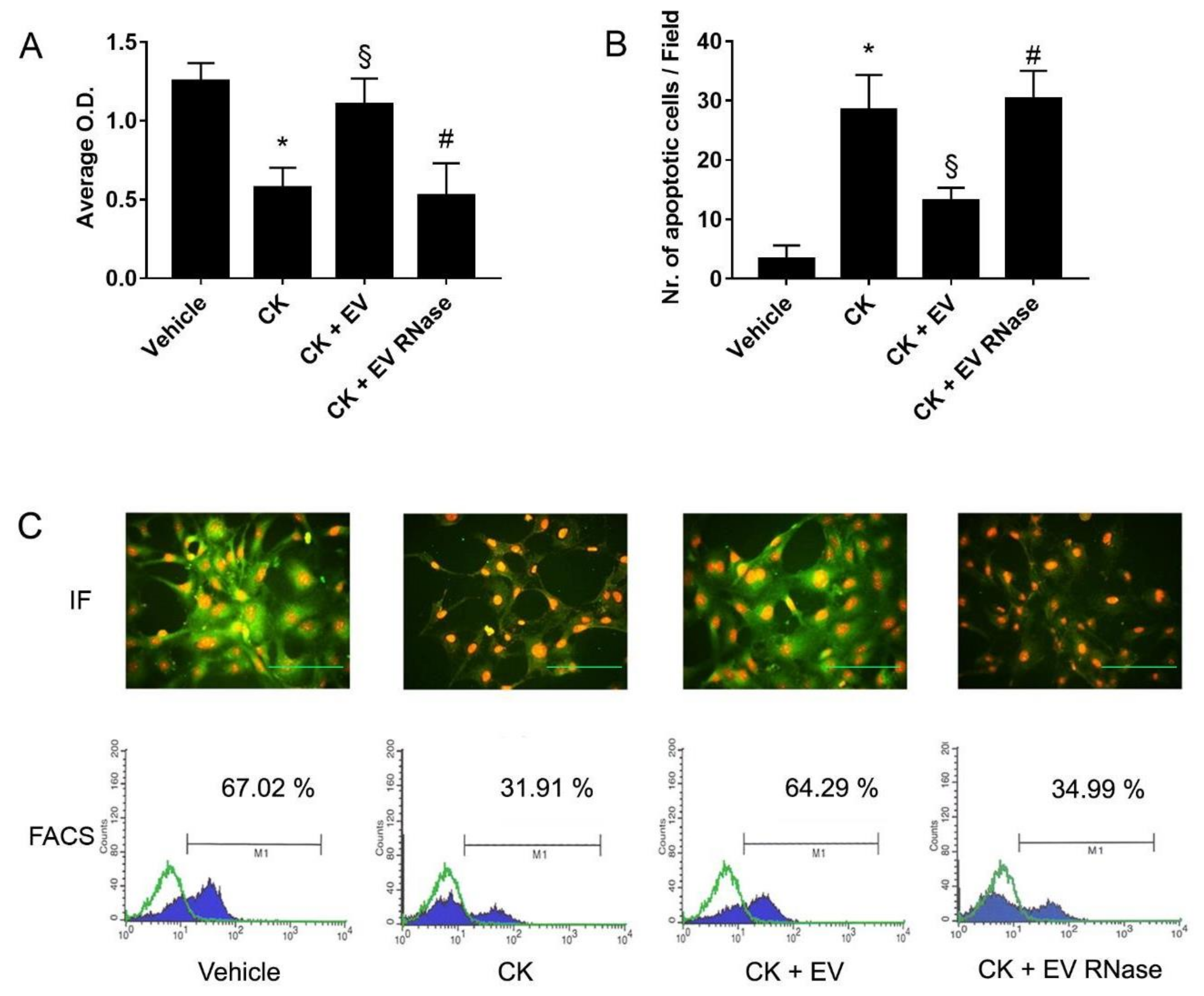 Cells 10 01675 g009 Cells 10 01675 g009