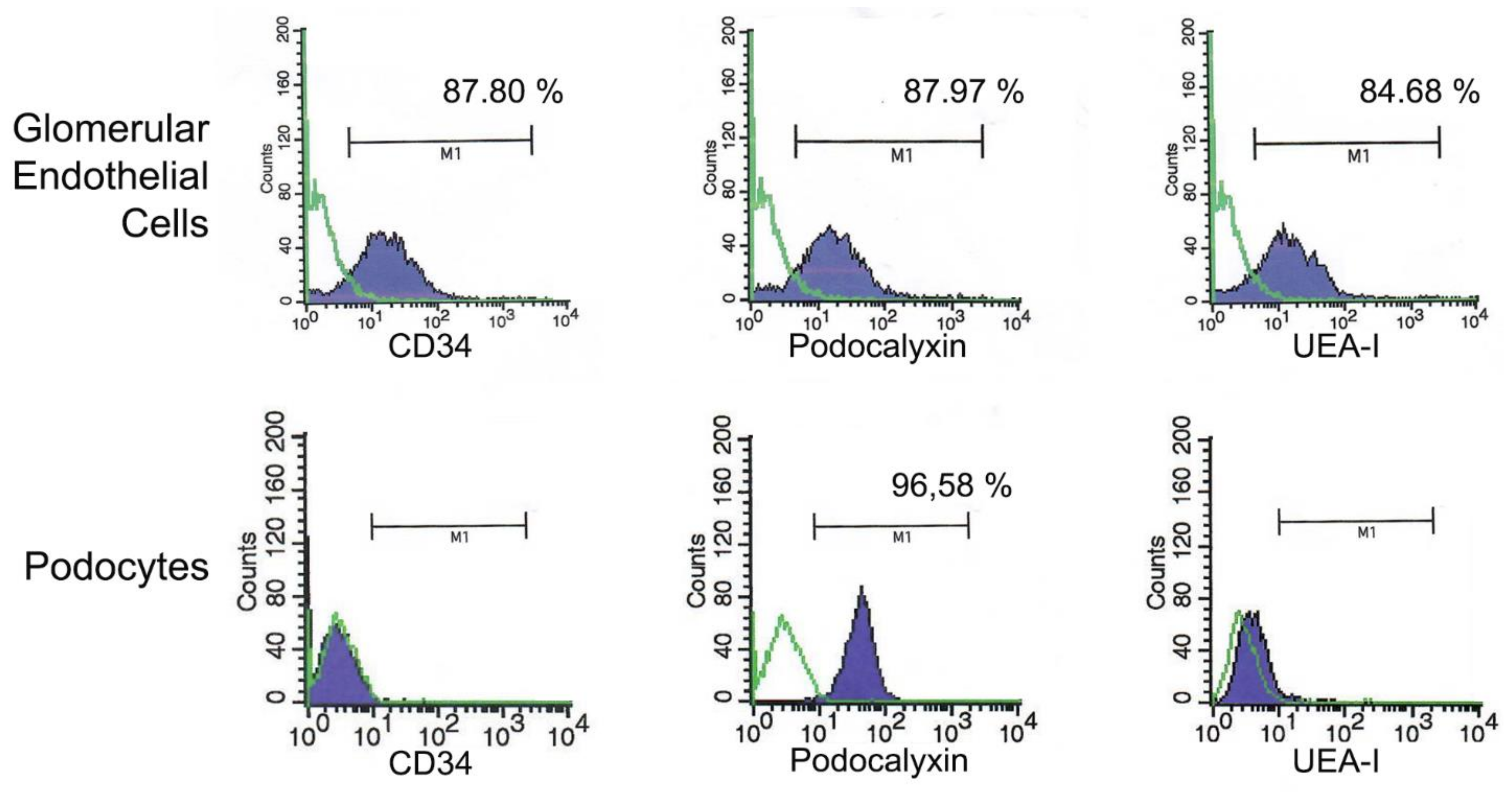 Cells 10 01675 g0a1 Cells 10 01675 g0a1
