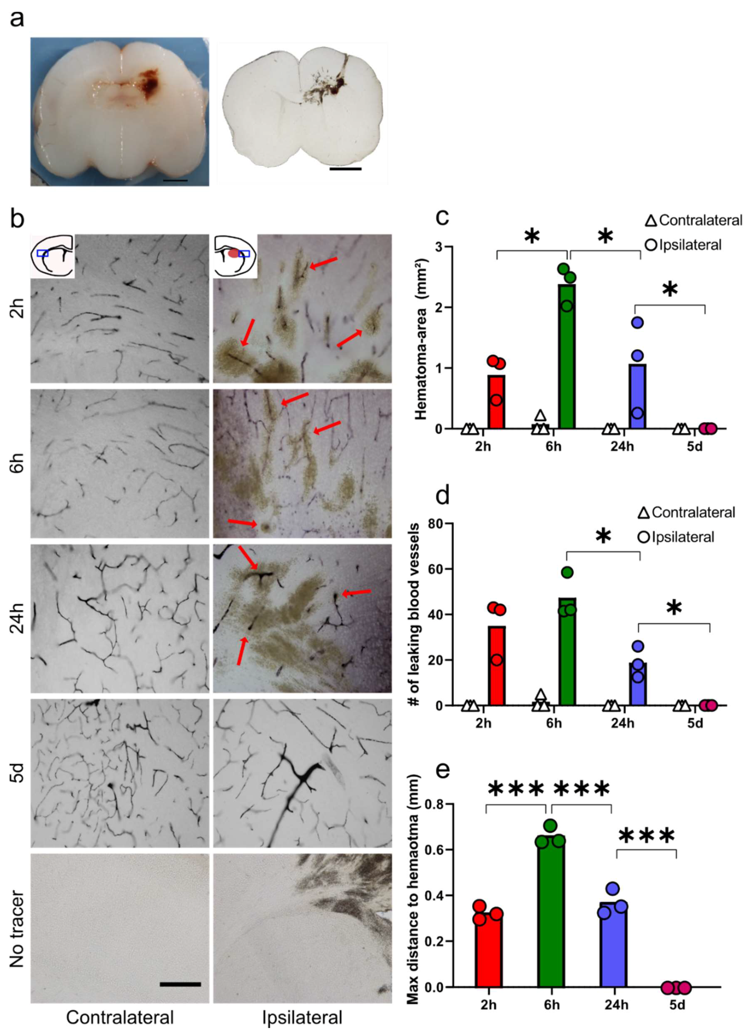 Cells 10 01677 g001 550