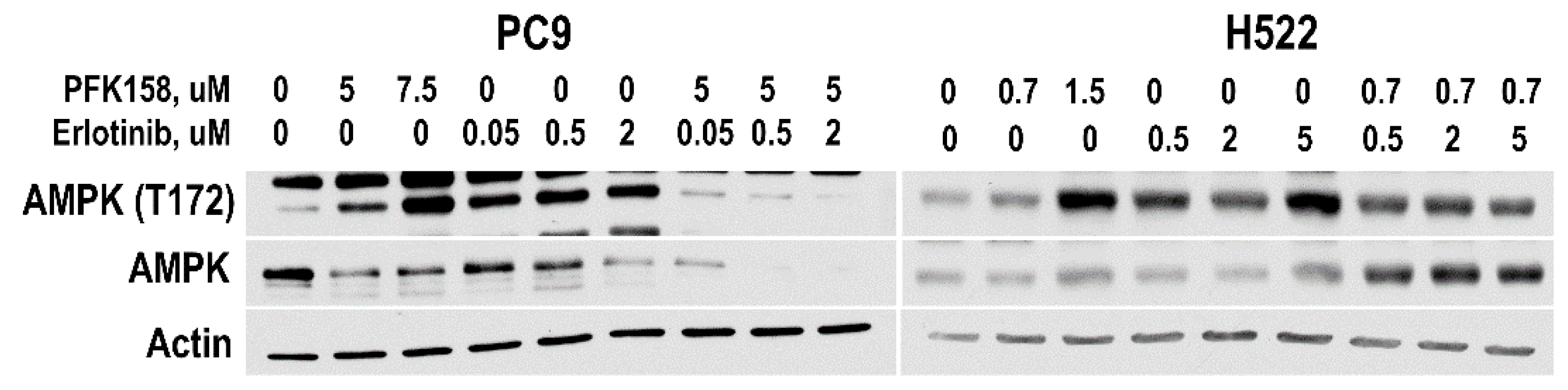 Cells 10 01679 g006