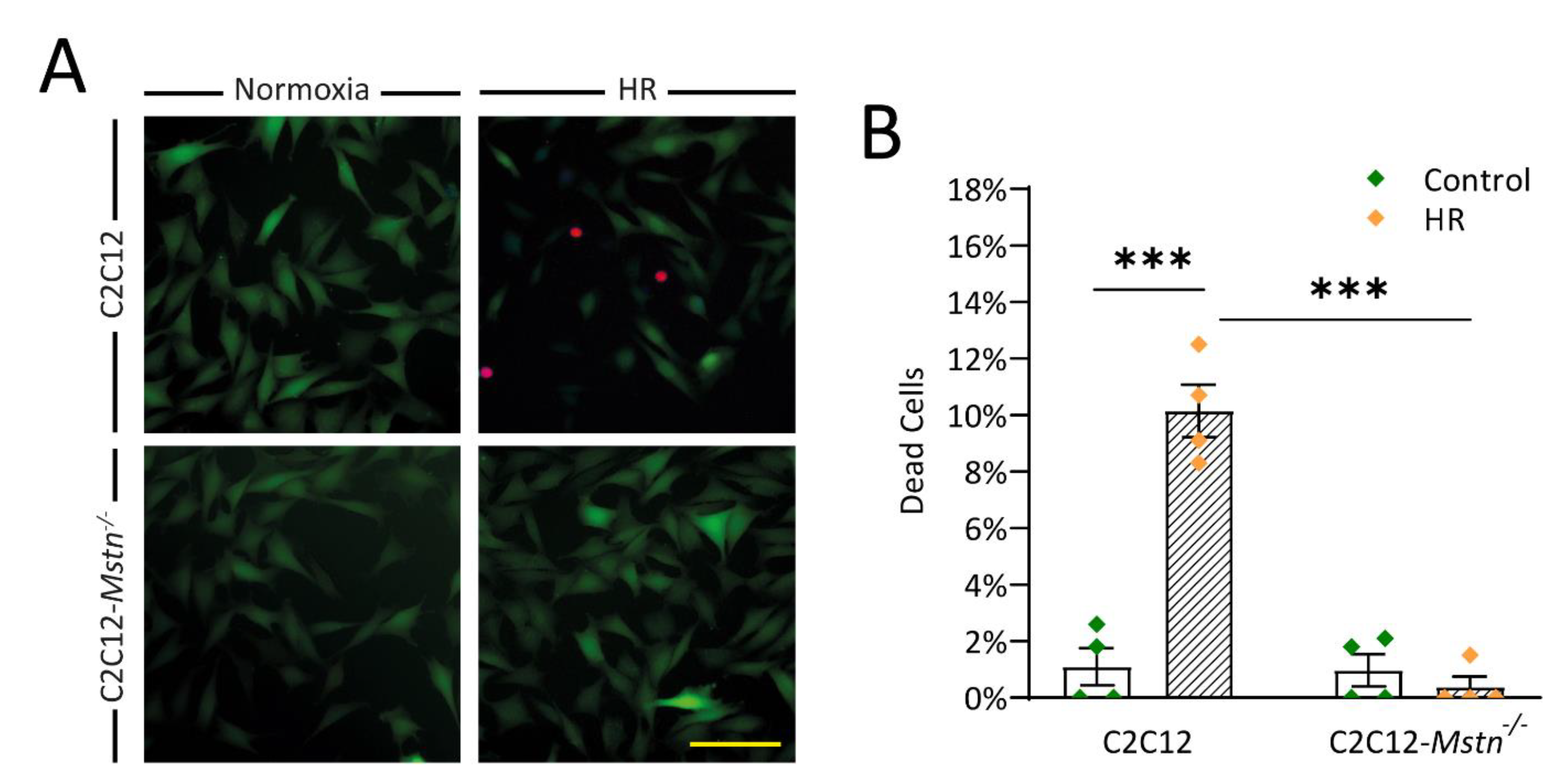 Cells 10 01680 g002 Cells 10 01680 g002