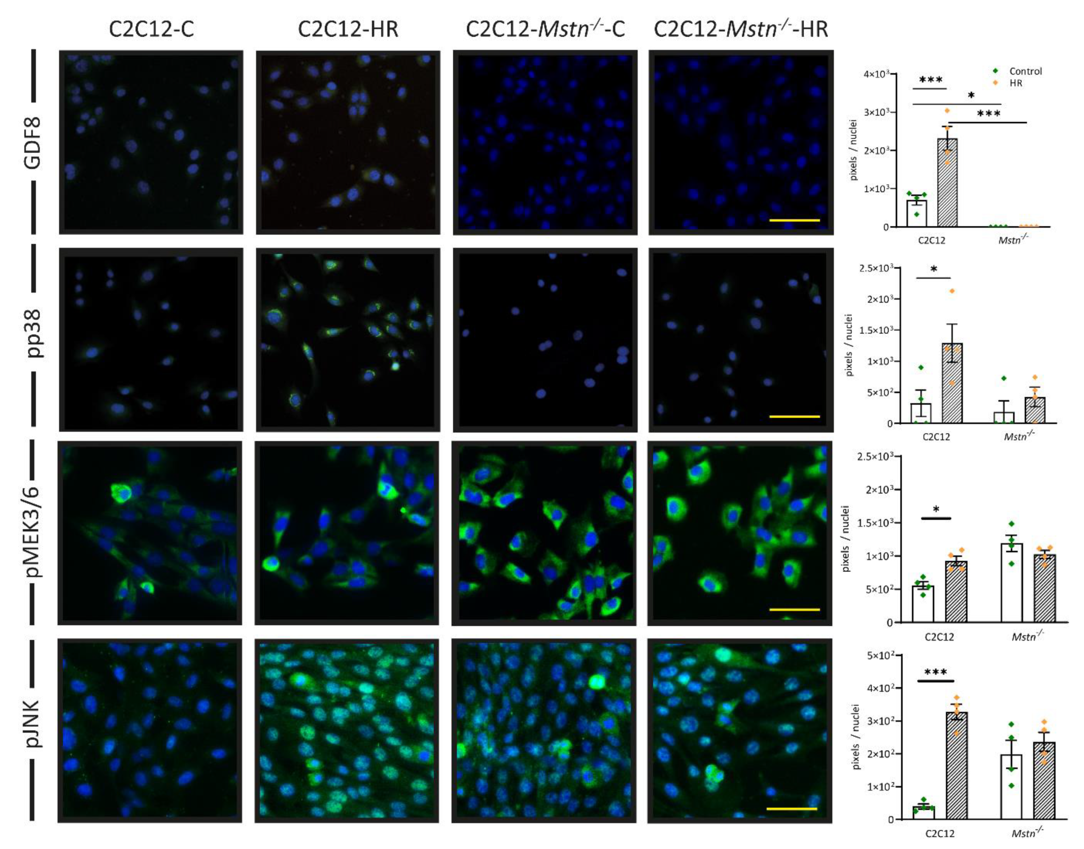 Cells 10 01680 g004 Cells 10 01680 g004