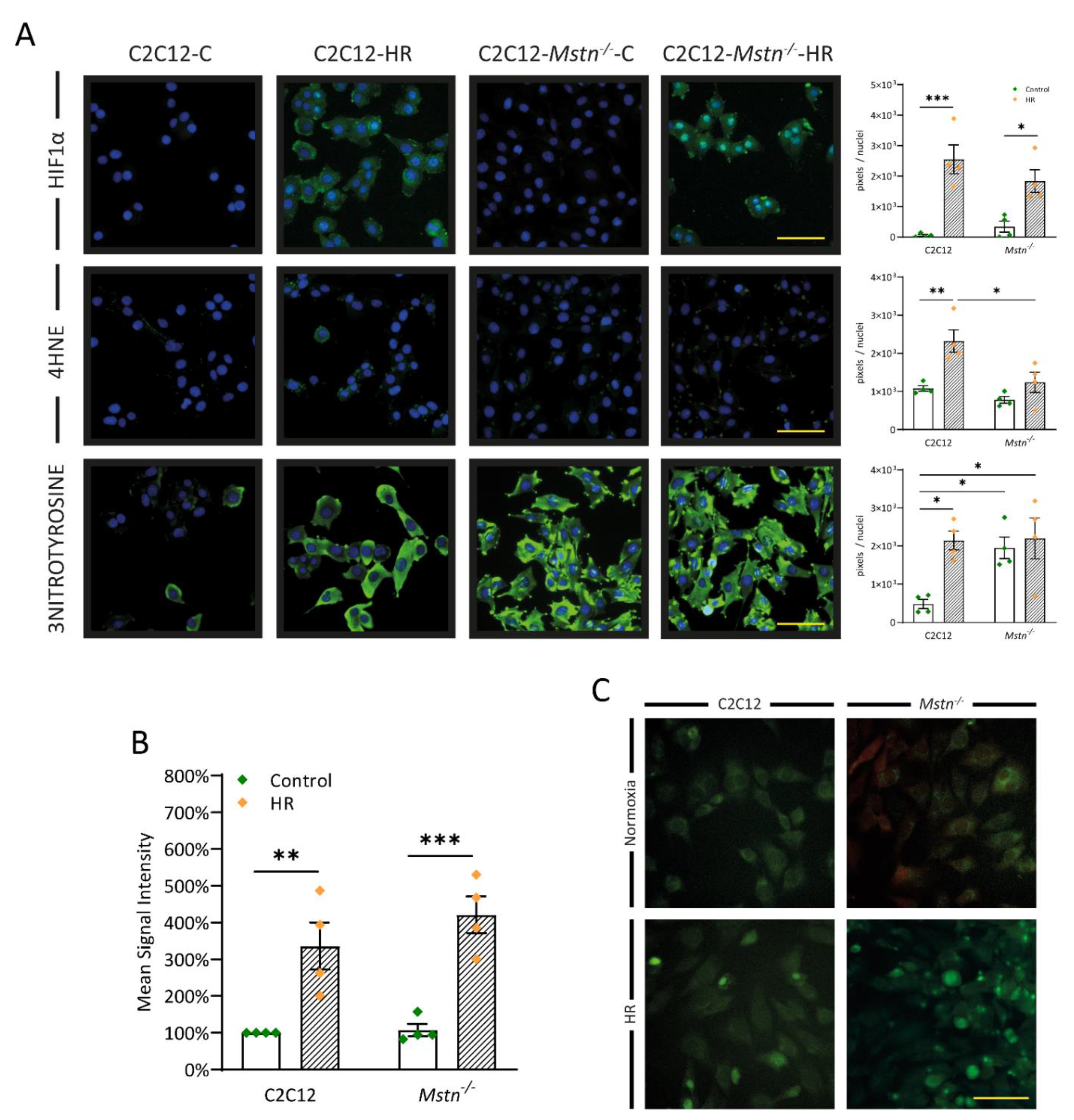 Cells 10 01680 g005 Cells 10 01680 g005