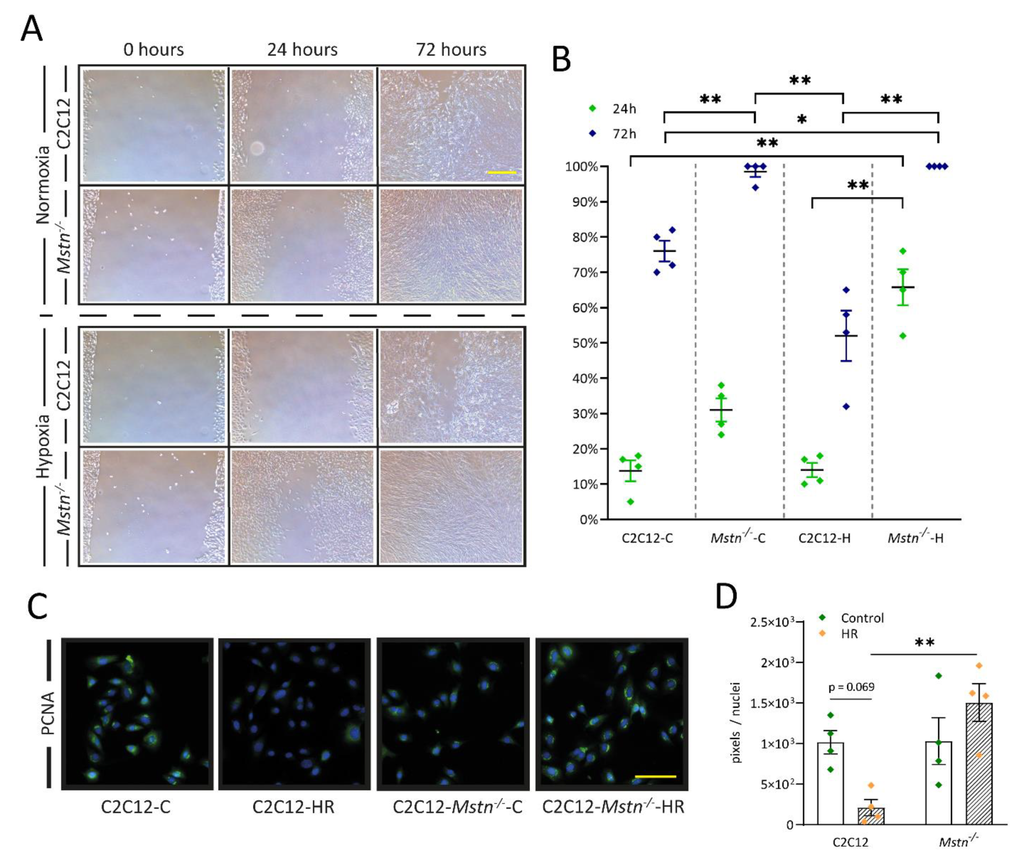 Cells 10 01680 g006 Cells 10 01680 g006