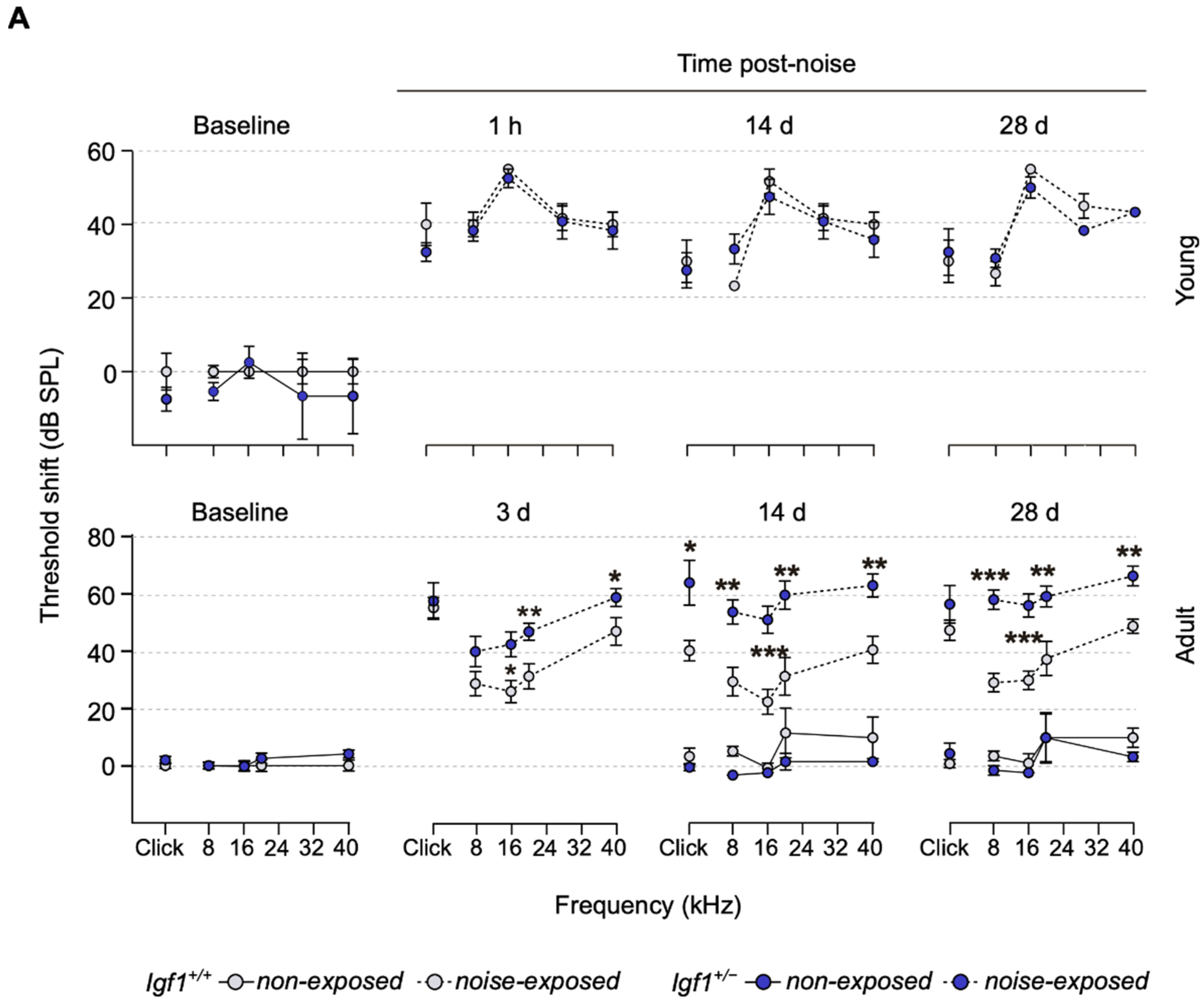Cells 10 01686 g002a Cells 10 01686 g002a