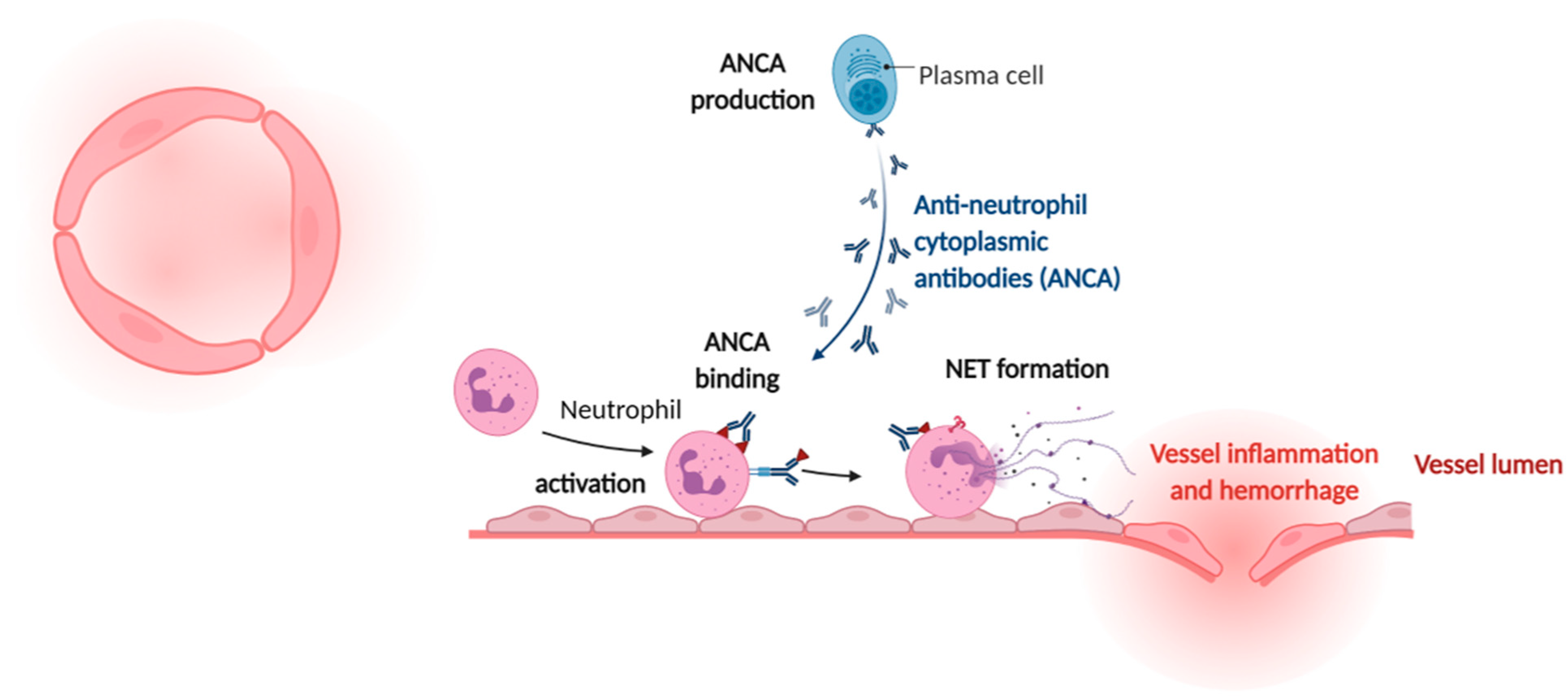 Cells 10 01689 g003 Cells 10 01689 g003