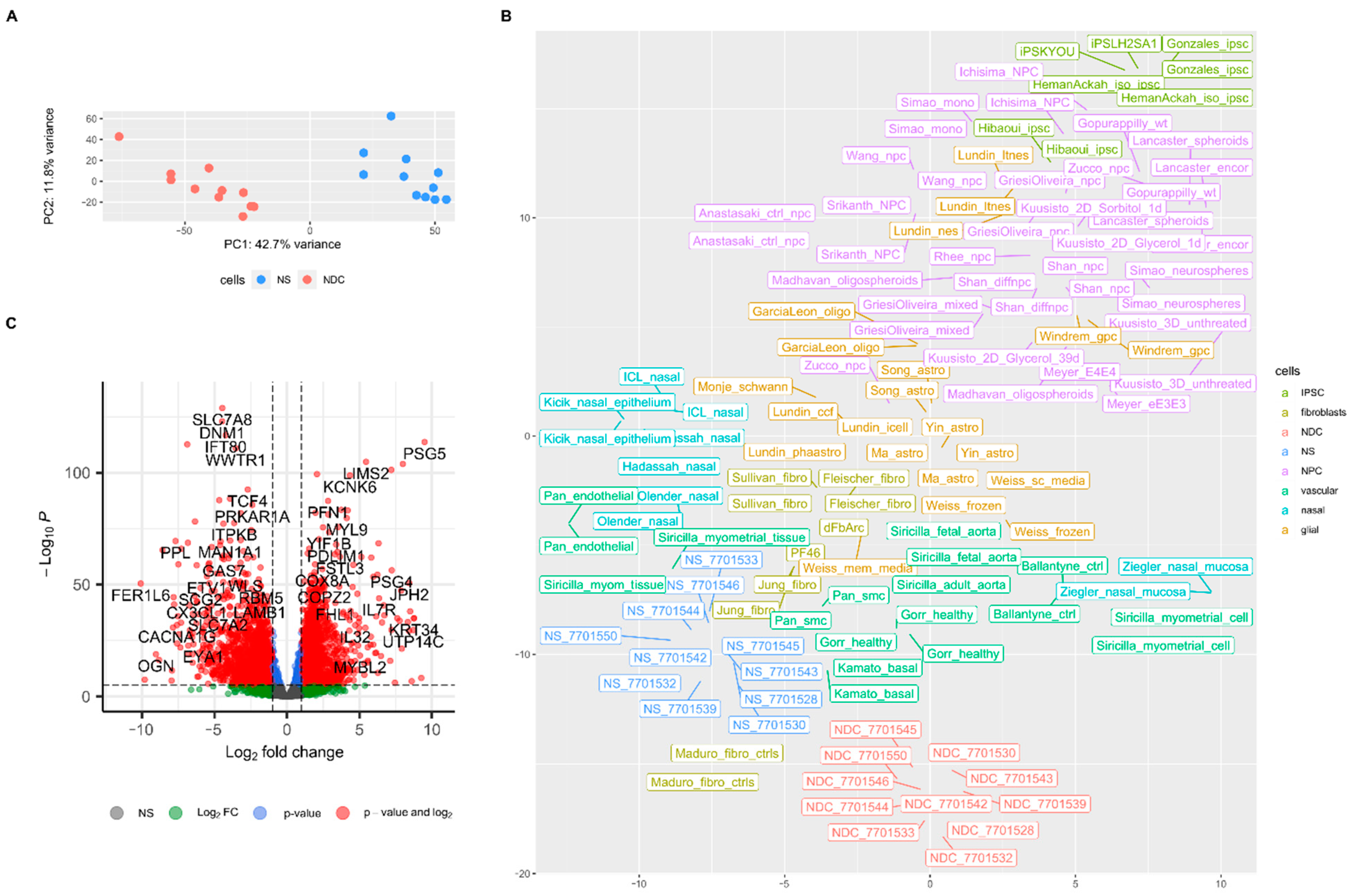 Cells 10 01690 g002 Cells 10 01690 g002