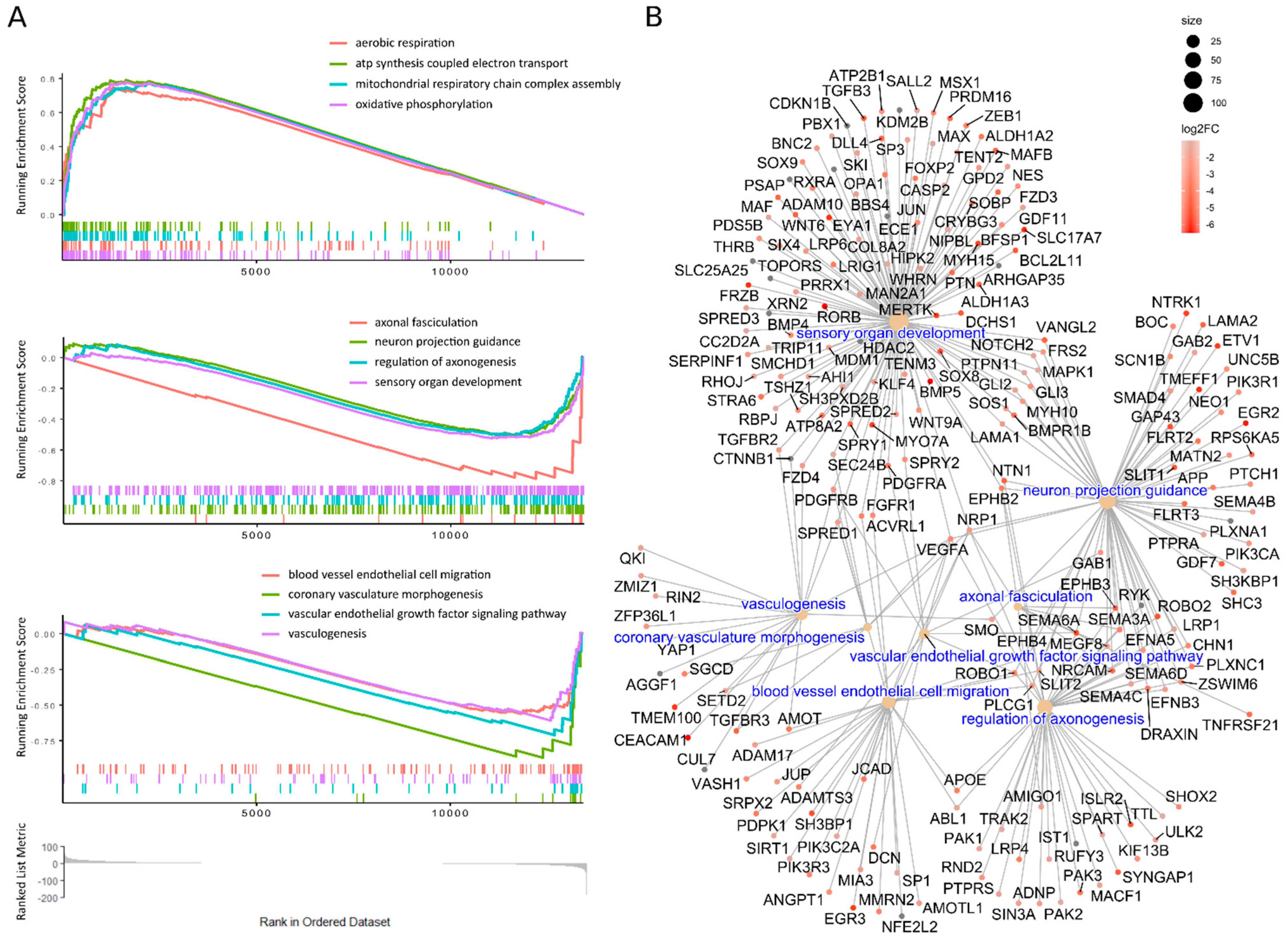 Cells 10 01690 g003 Cells 10 01690 g003