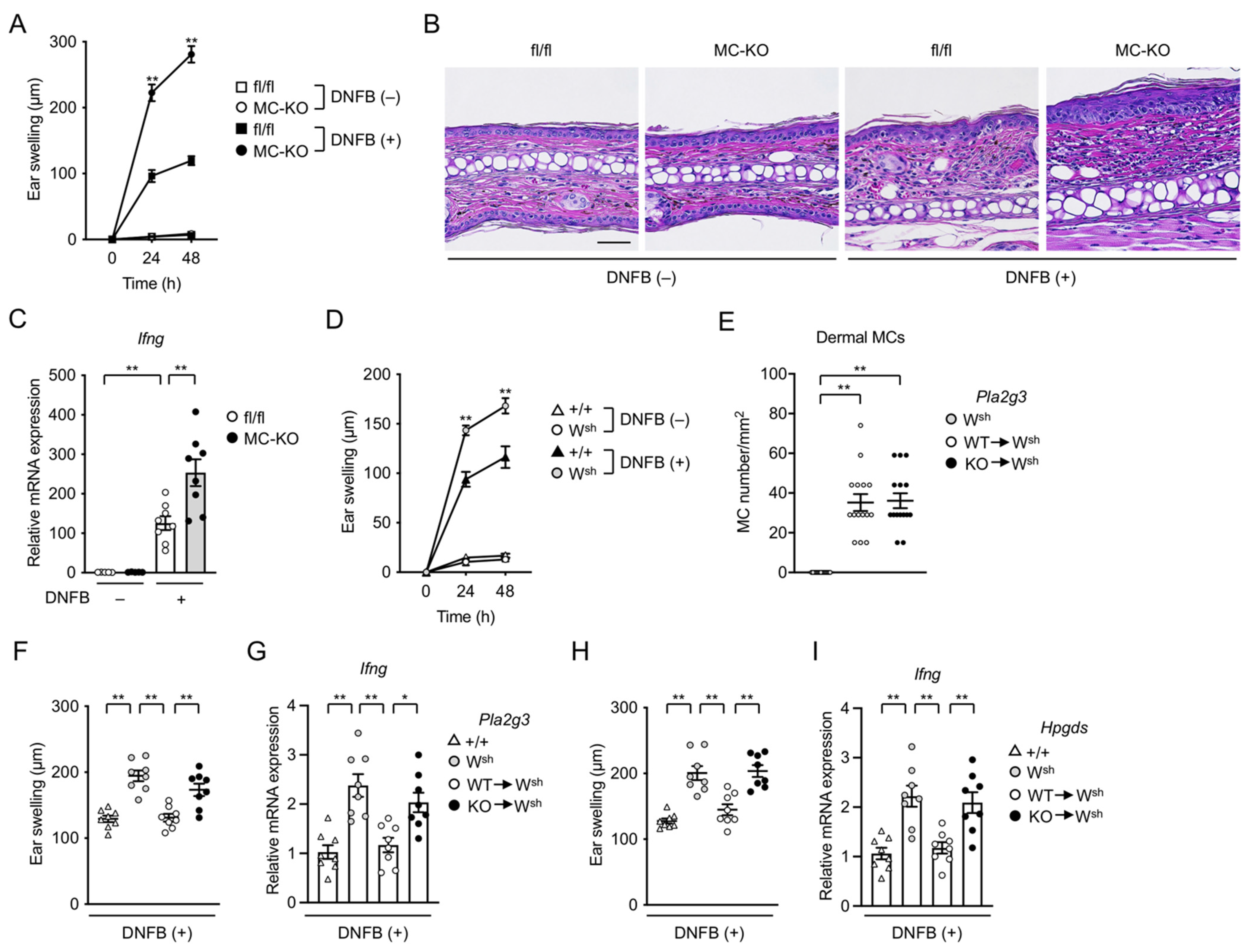 Cells 10 01691 g004 550