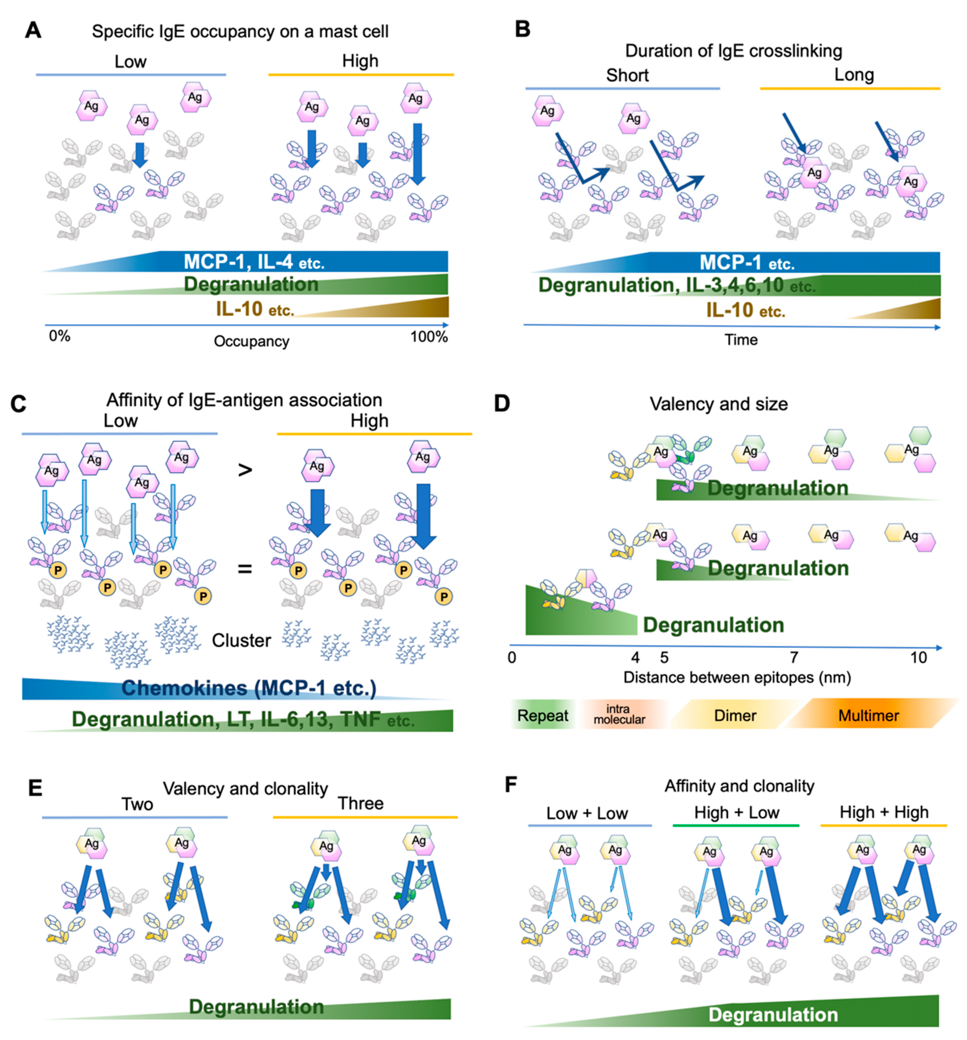 Cells 10 01697 g002