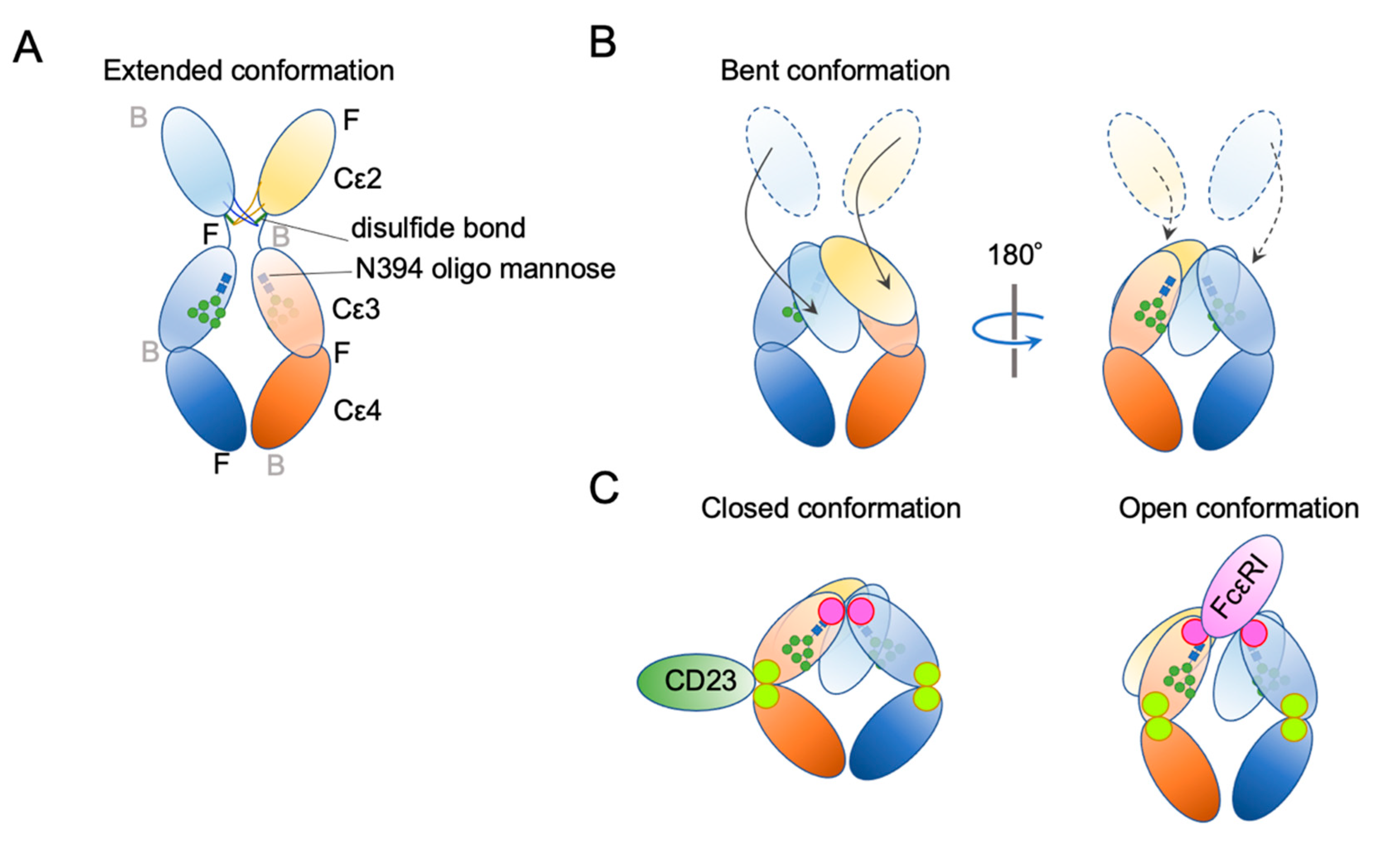 Cells 10 01697 g004