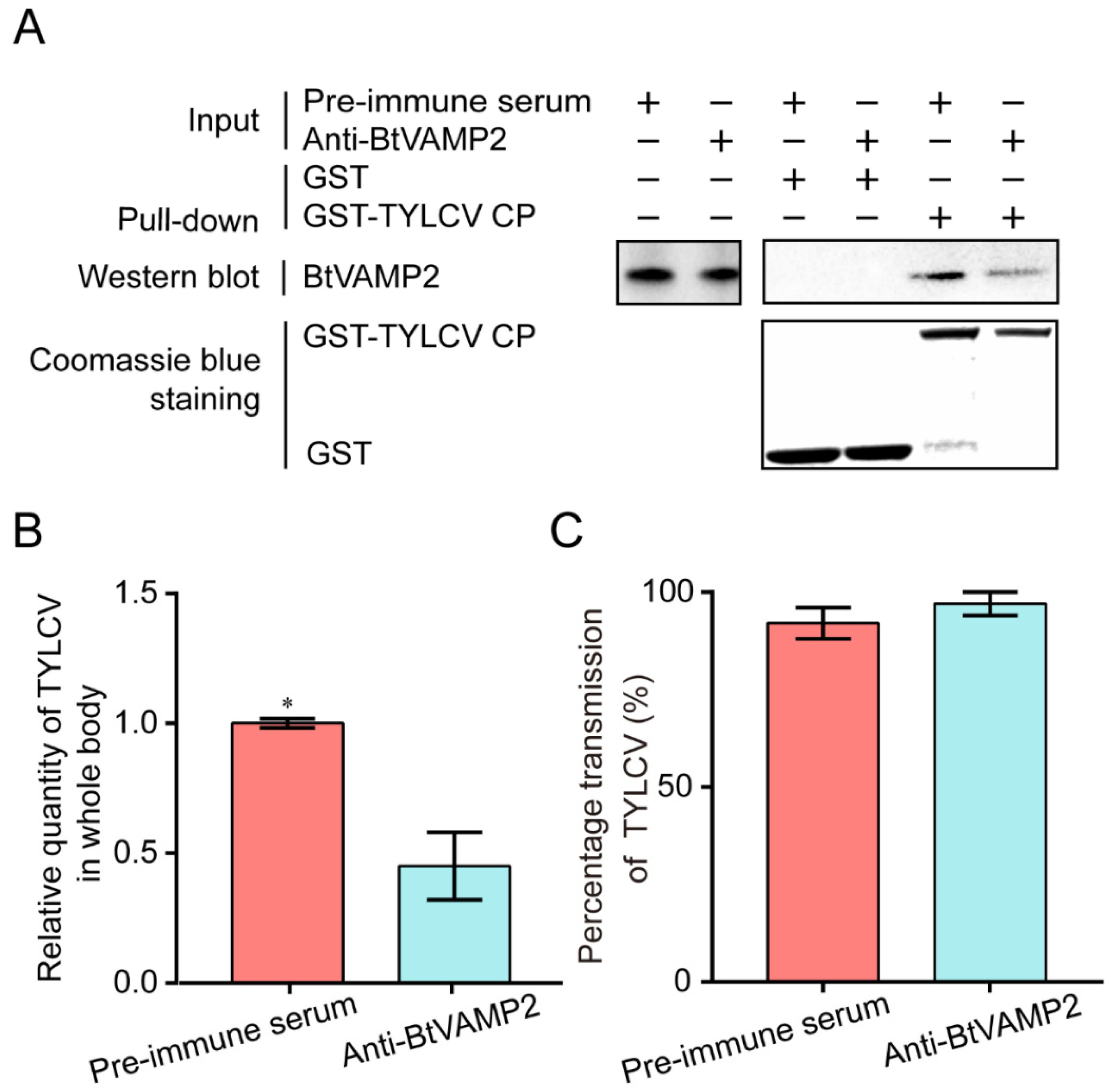 Cells 10 01700 g004 550